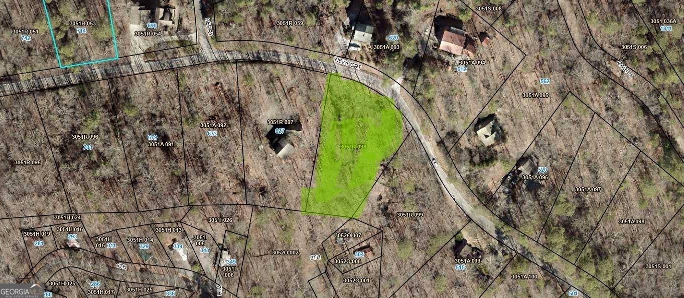 Ellijay, GA 30540,0 Lot 3540 Newport DR