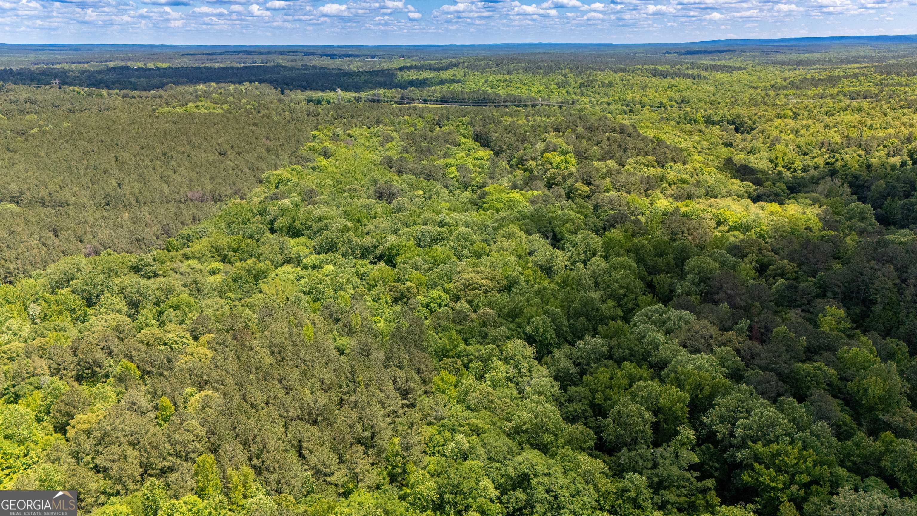 Lagrange, GA 30241,37.23 ACRES / 0 Smokey RD