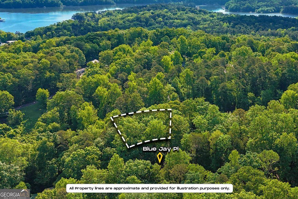 Toccoa, GA 30577,0 Blue Jay PL