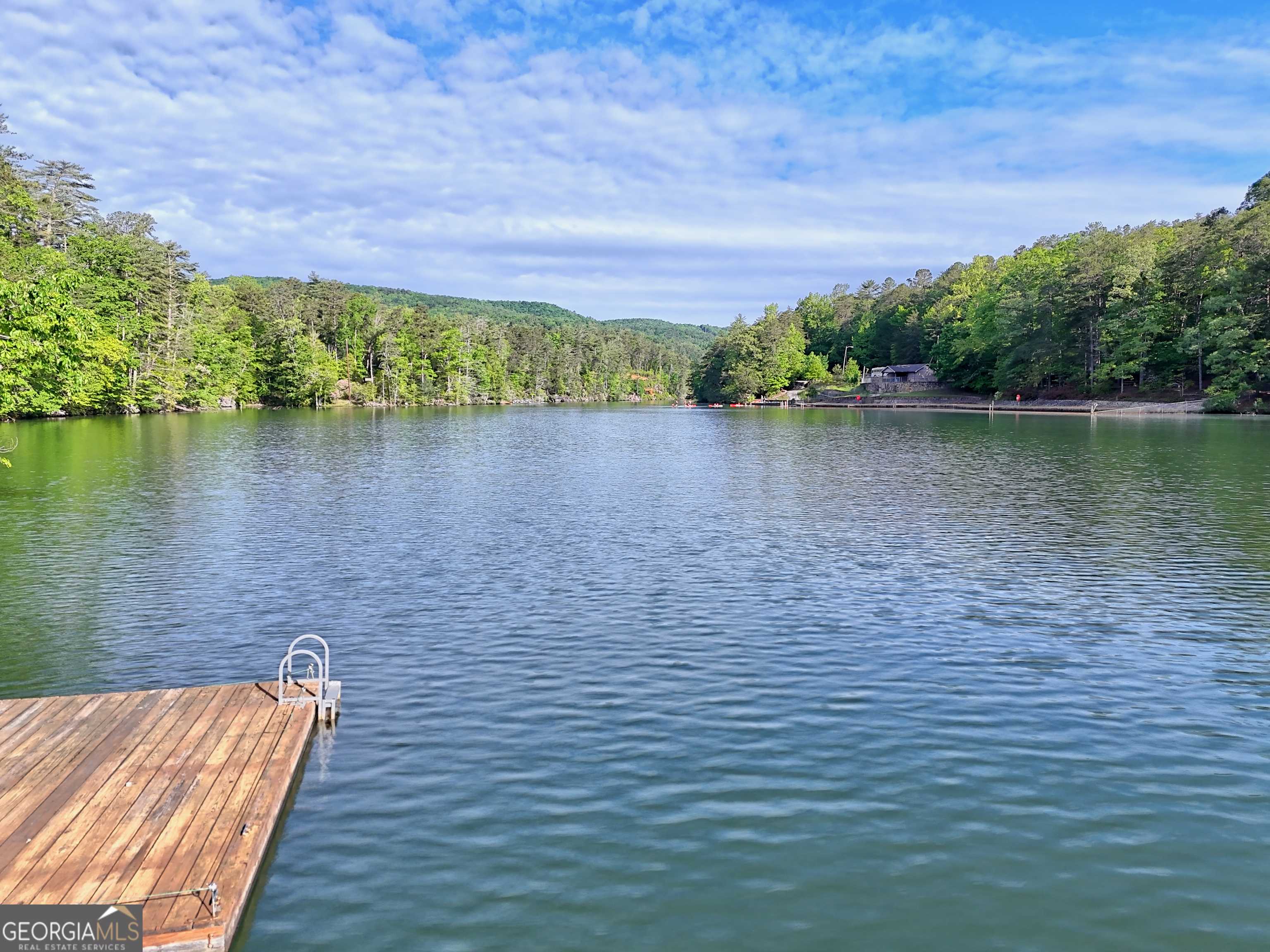 Tallulah Falls, GA 30573,115 River ST