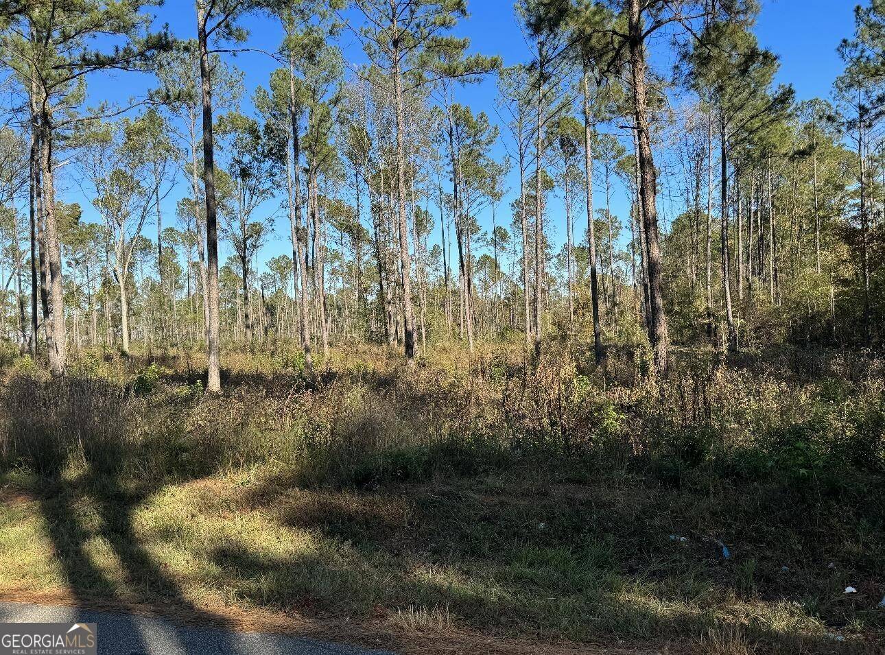 Macon, GA 31220,TRACT-9 Lower Simmons RD