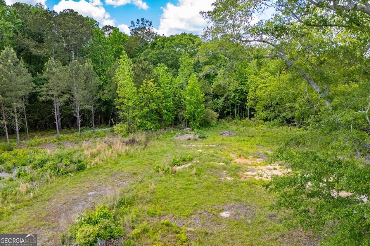 Bowdon, GA 30108,164 N Jonesville RD