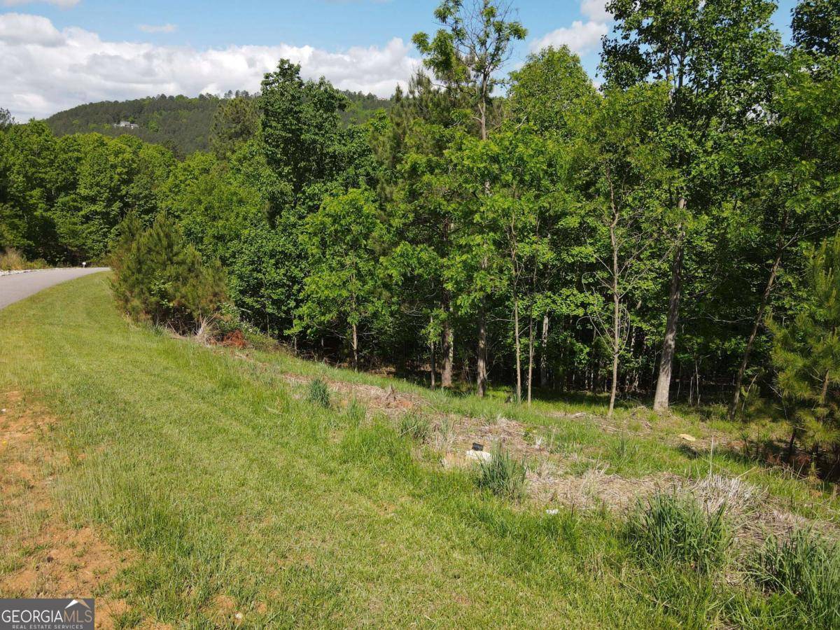 Blairsville, GA 30512,LOT 379 Marshall Rise RD