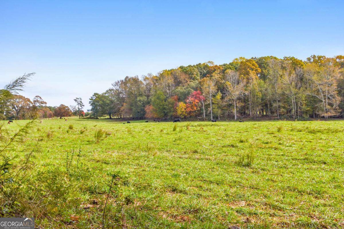 Carrollton, GA 30117,1727 Oak Grove Church RD #A