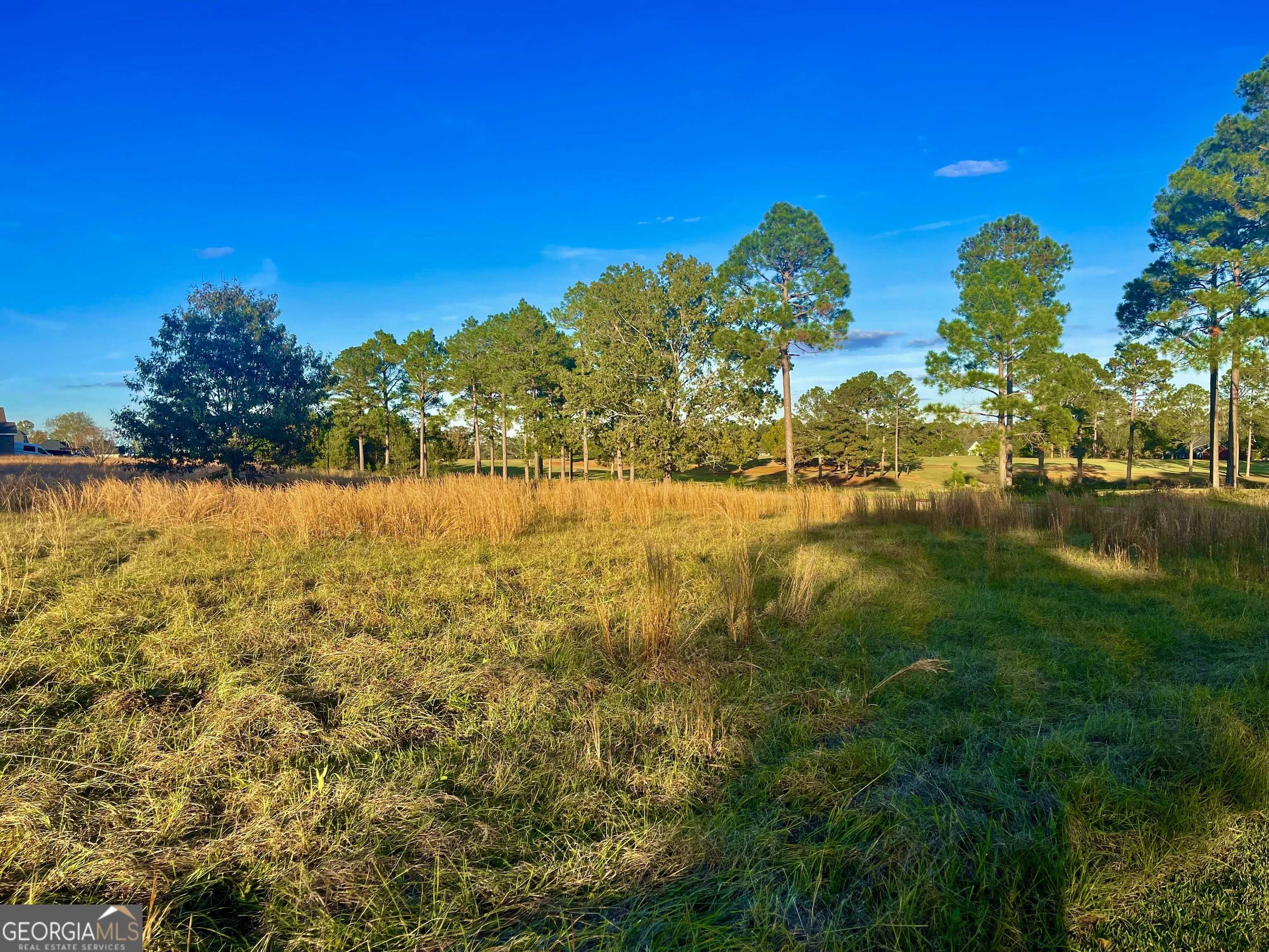 Hawkinsville, GA 31036,41 Crabapple DR