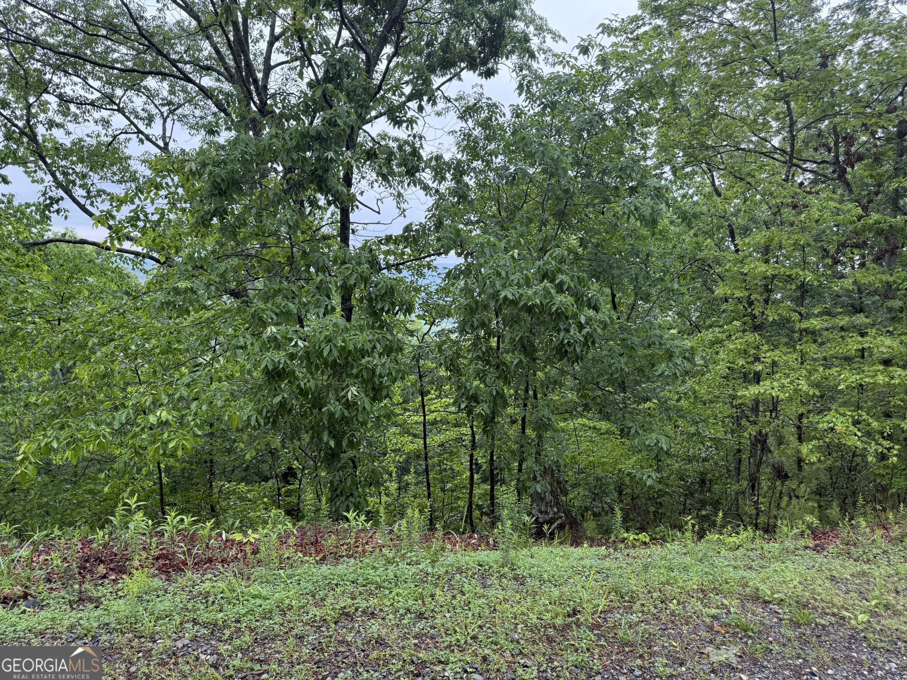 Ranger, GA 30734,321 Oberlin CT
