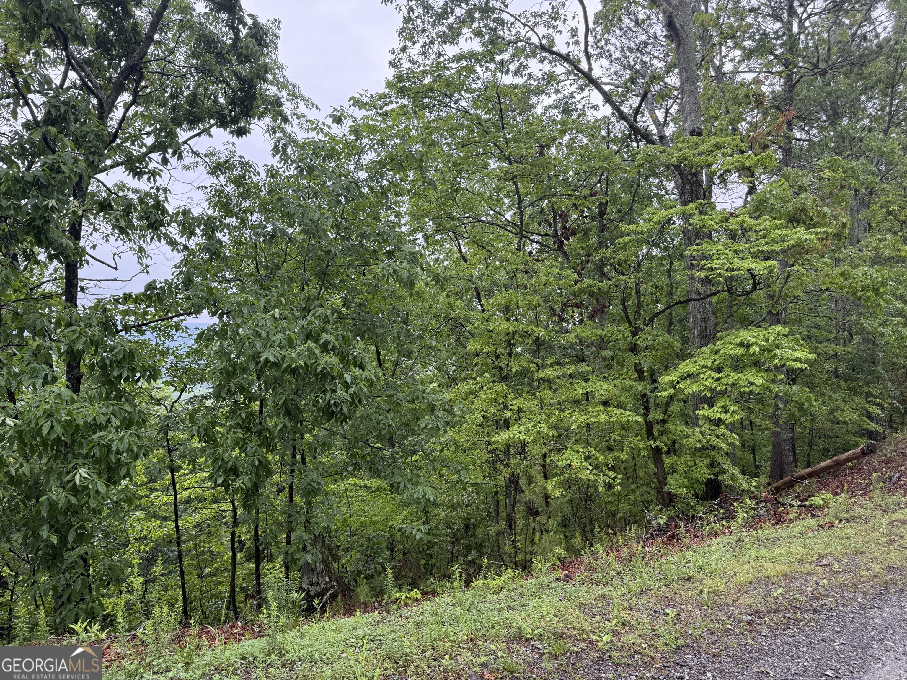 Ranger, GA 30734,321 Oberlin CT