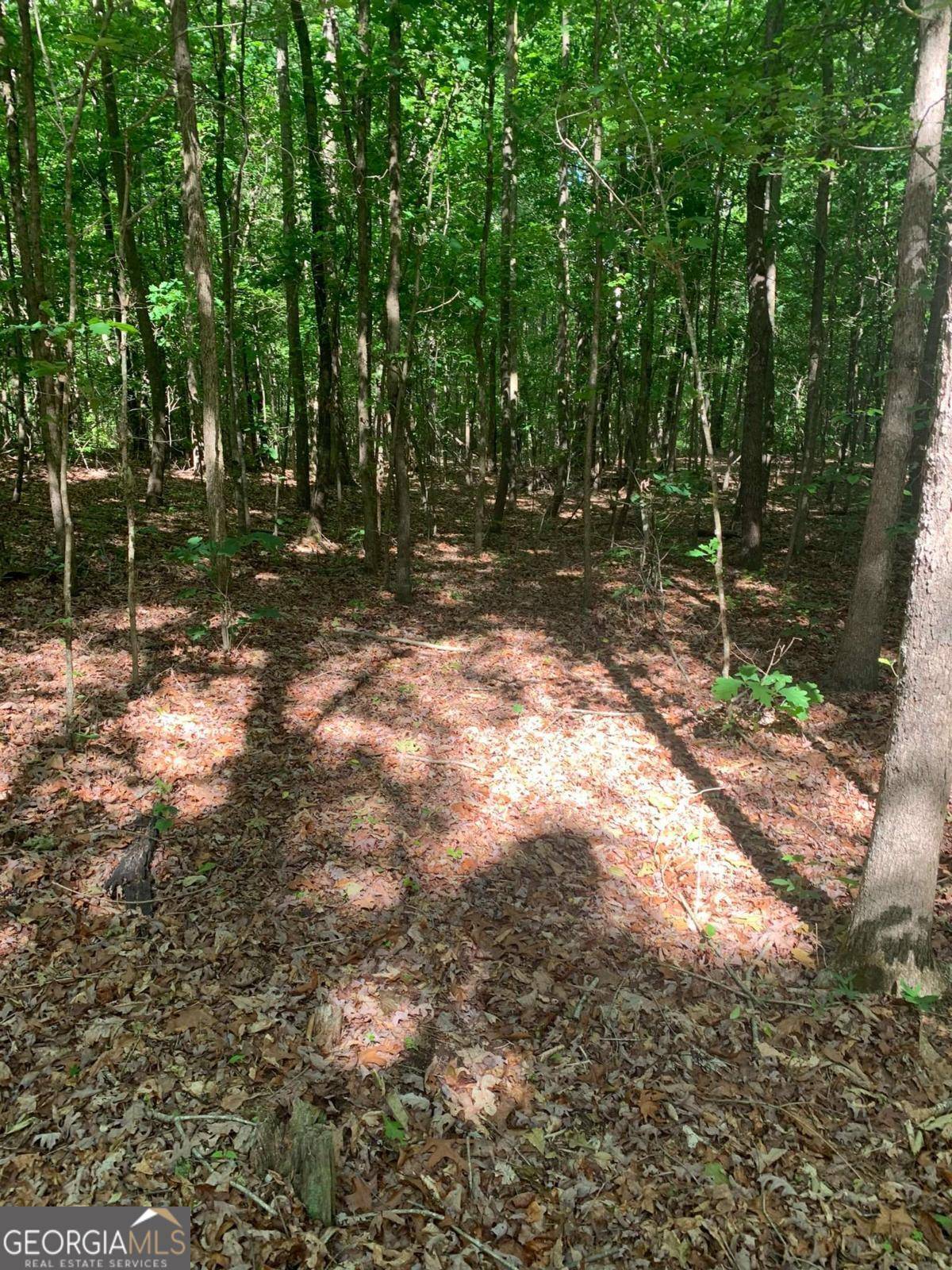 Alto, GA 30510,7700 Poole CIR #TRACT B
