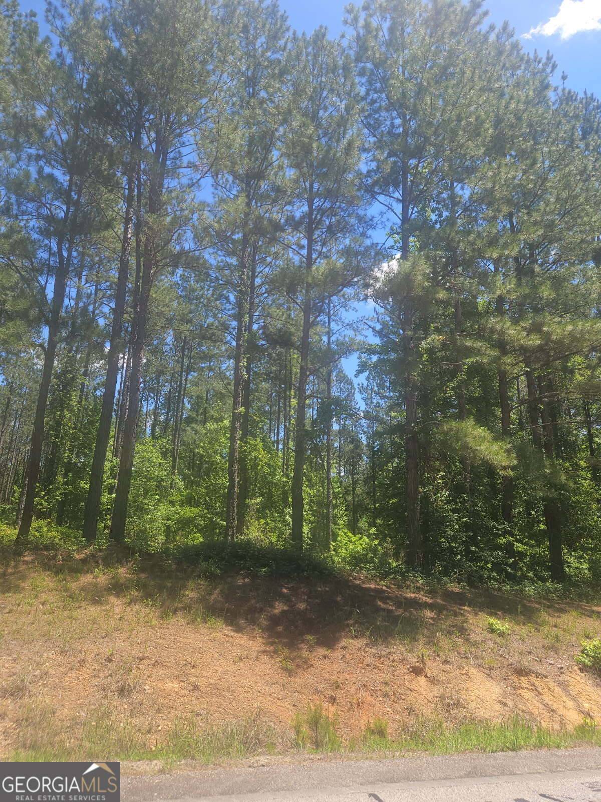 Mitchell, GA 30820,LOT #8 Highway 123