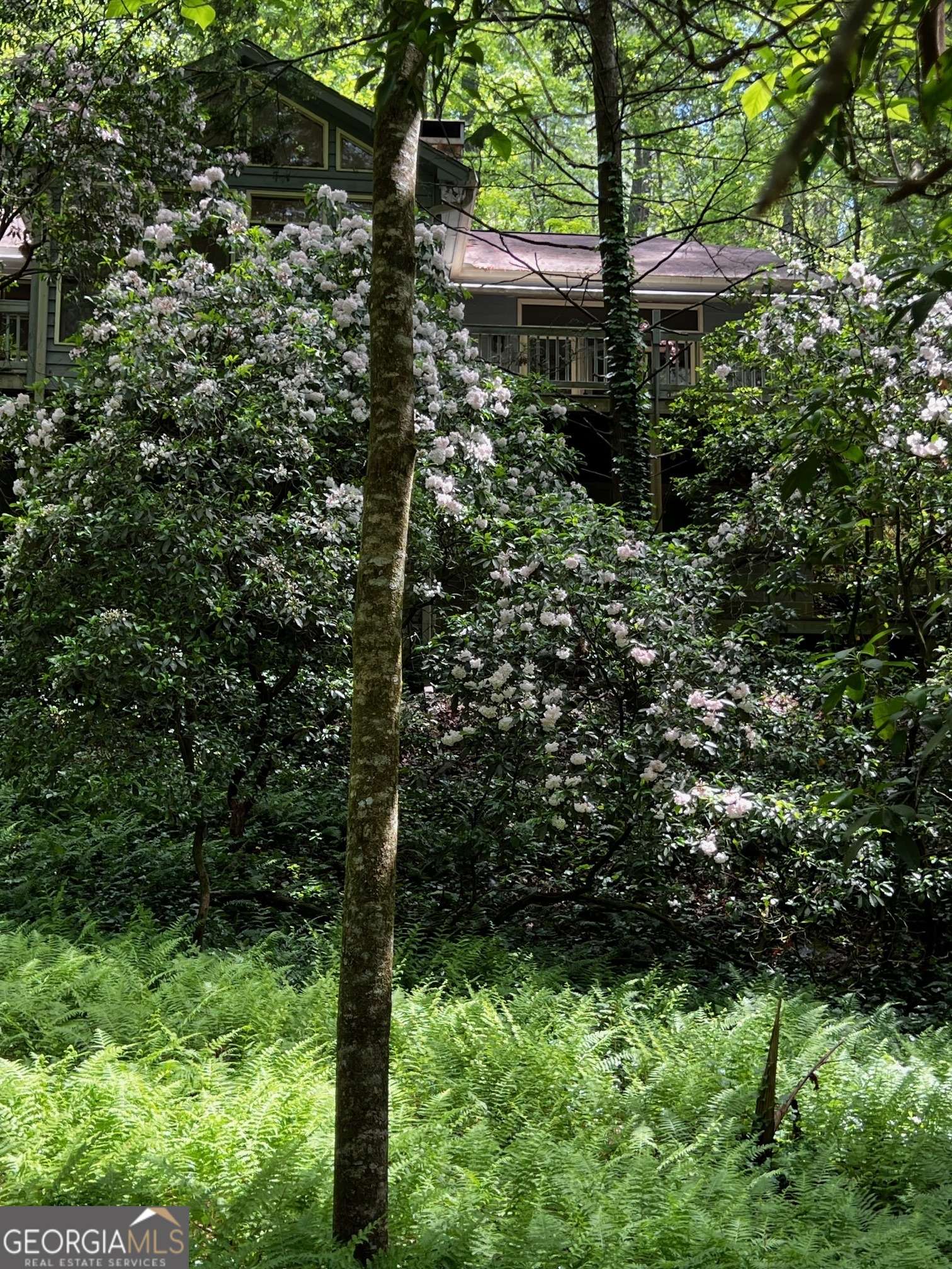 Clarkesville, GA 30523,105 Chinquapin LN