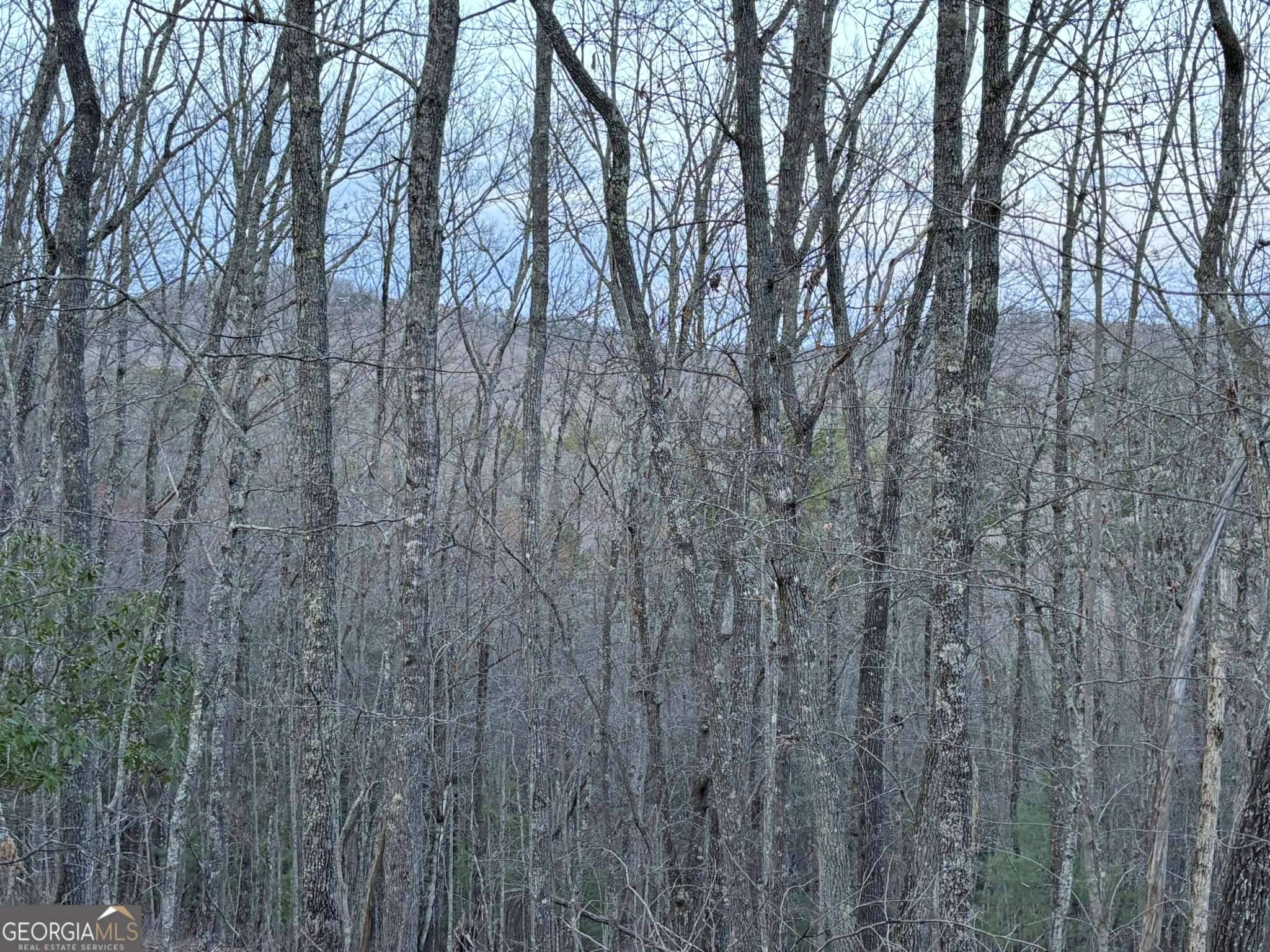 Mineral Bluff, GA 30559,2370 Humphrey Mill RD