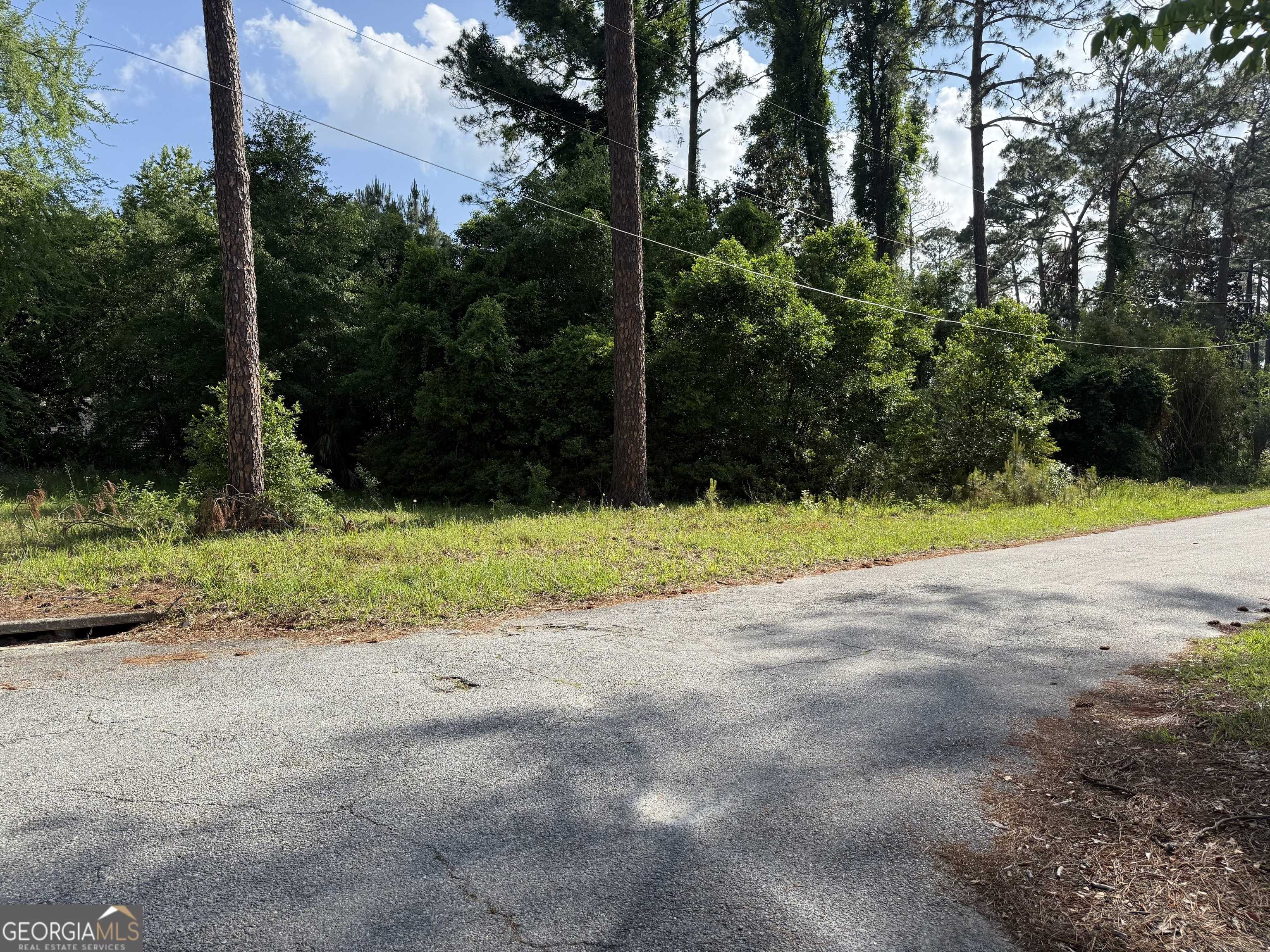 Waycross, GA 31501,1102 Saint Marys DR