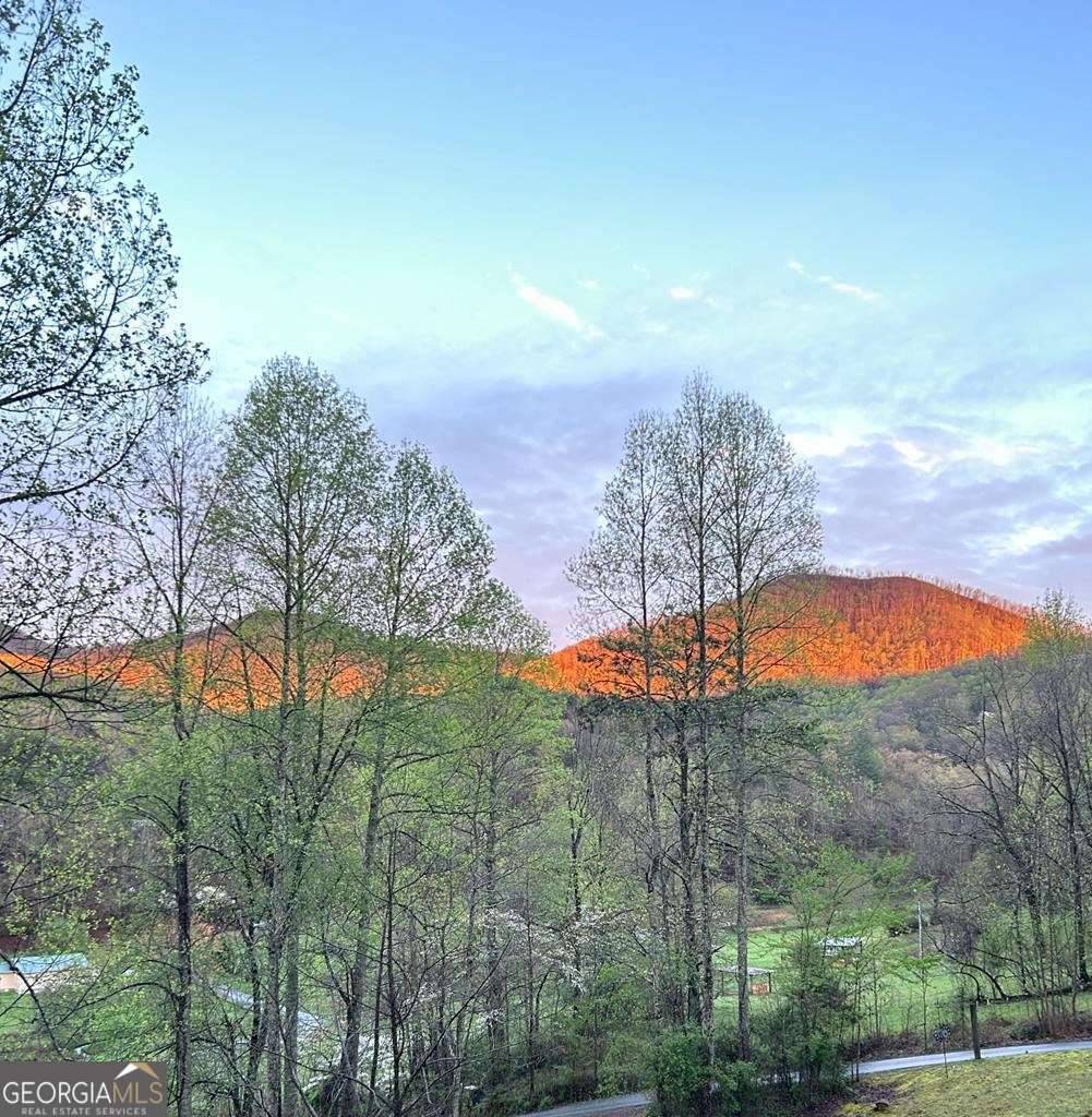 Hayesville, NC 28904,154 Anns LN