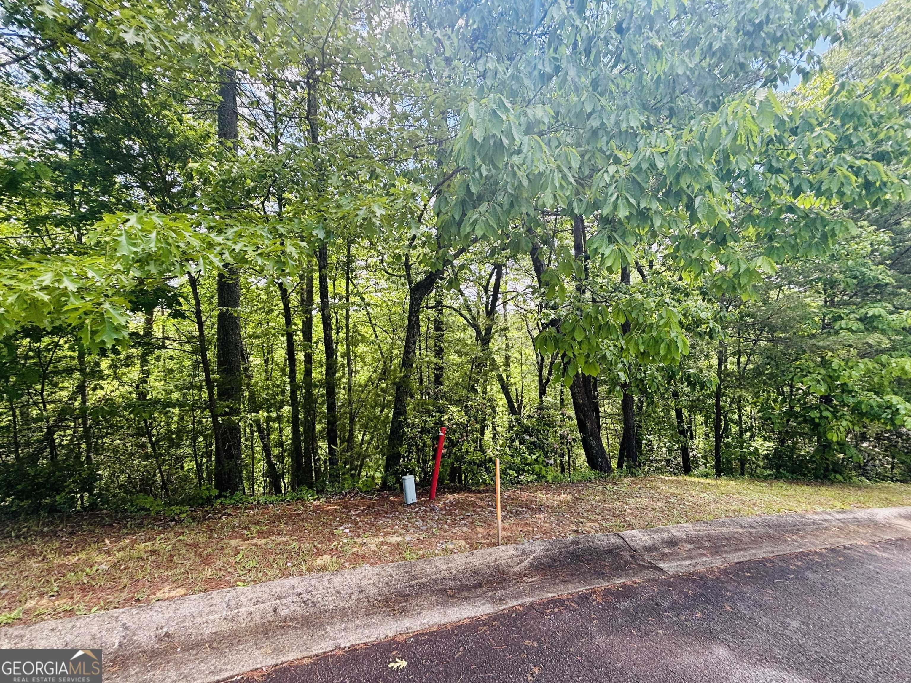 Helen, GA 30545,0 Rosen Strasse ~ LOT 141