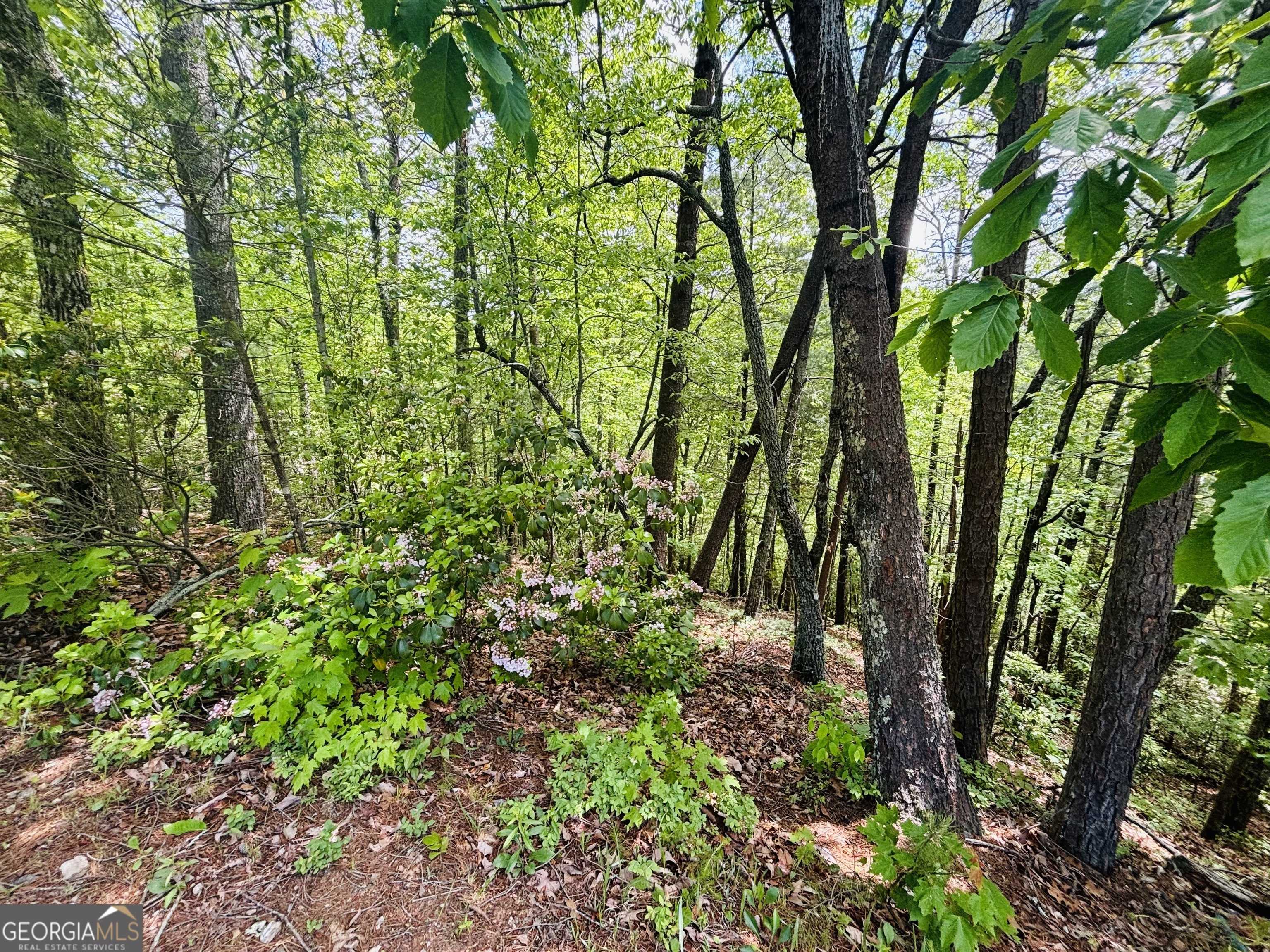 Helen, GA 30545,0 Rosen Strasse ~ LOT 141