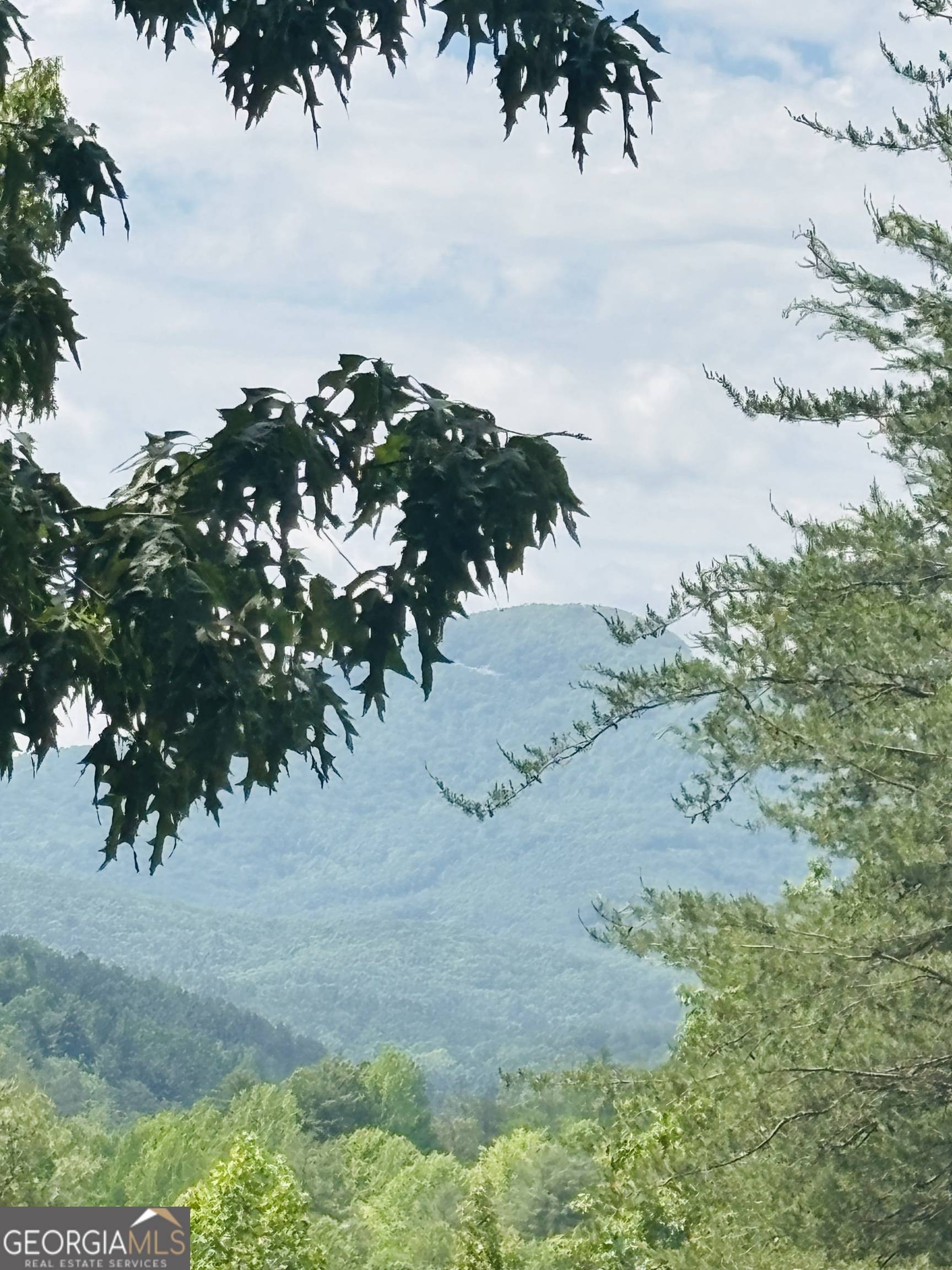 Helen, GA 30545,0 Rosen Strasse ~ LOT 141