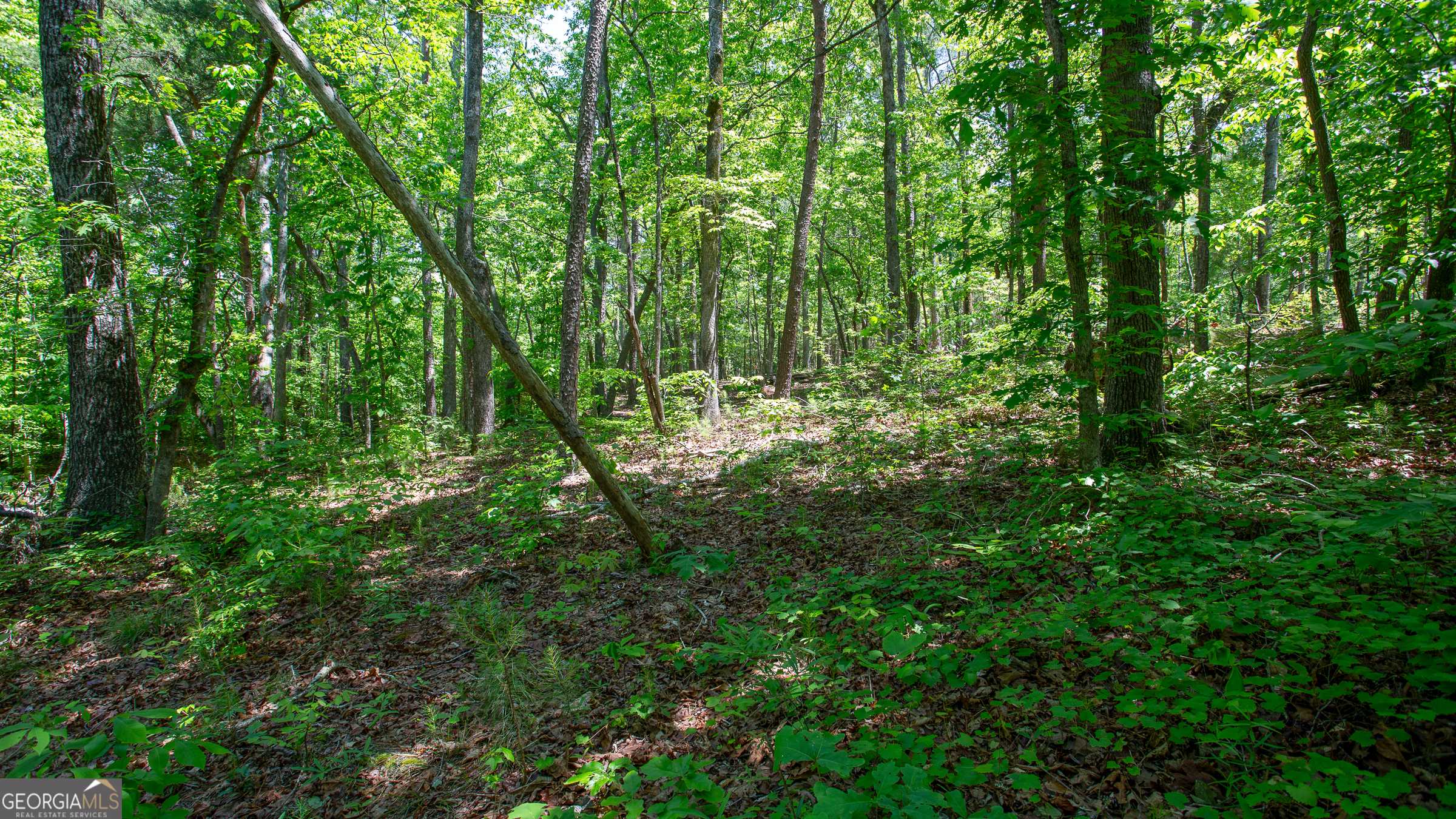 Cumming, GA 30028,7245 Mount Tabor RD