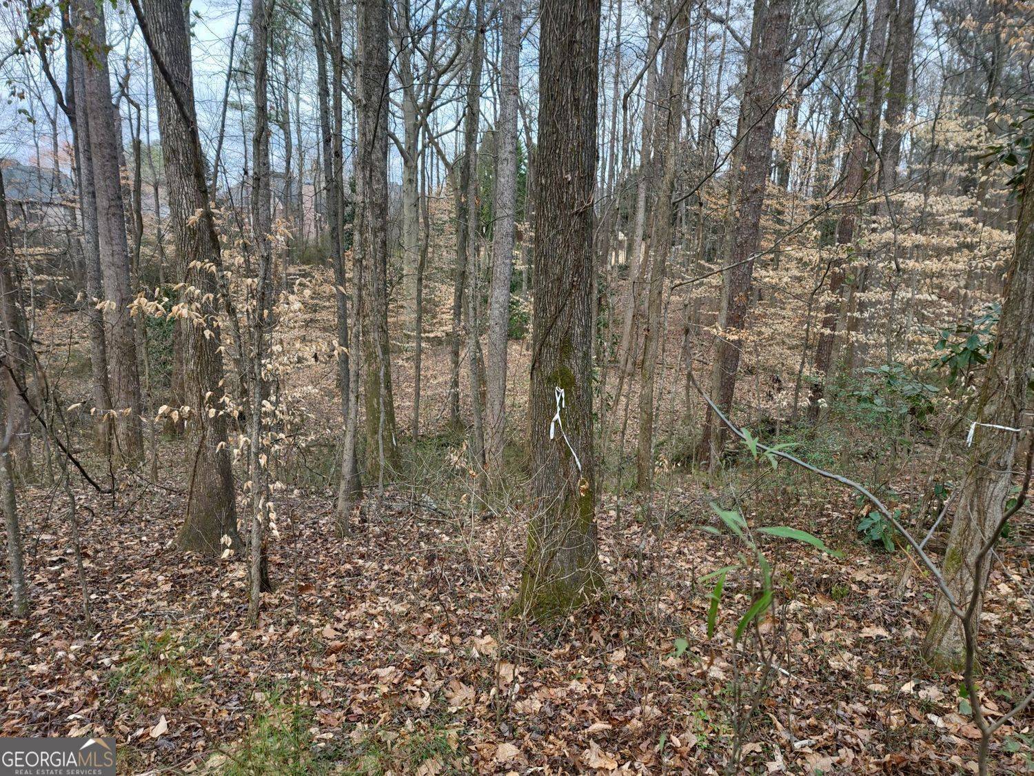 Mableton, GA 30126,0 Brookwood DR