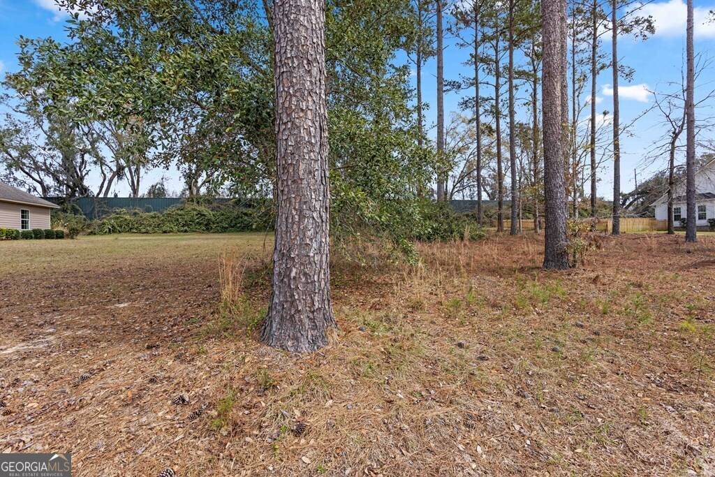 Valdosta, GA 31602,4227 Tillman Bluff