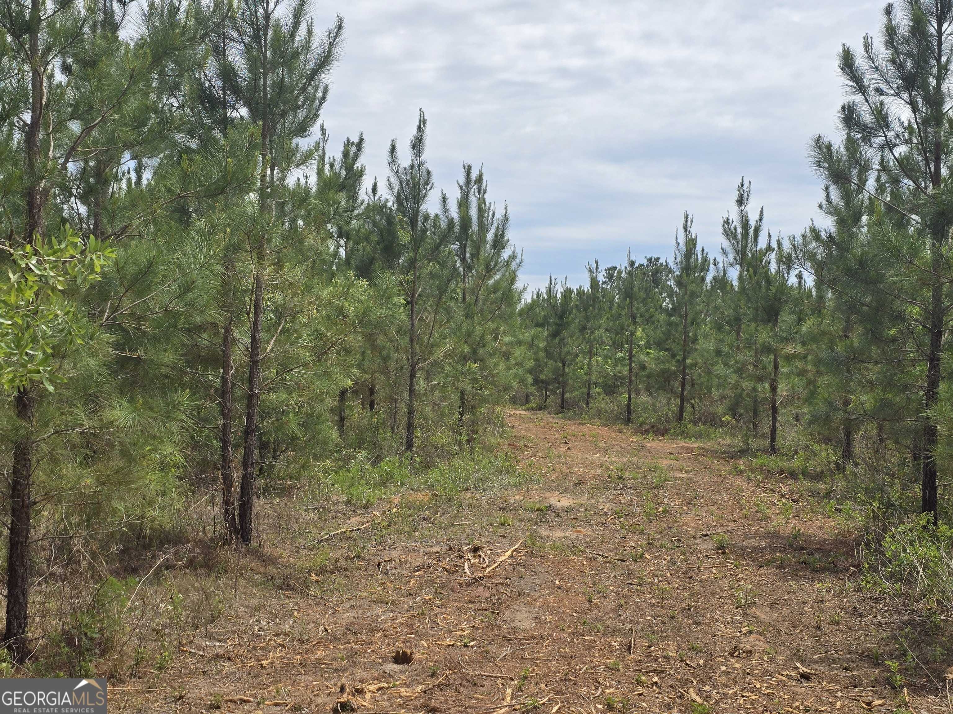 Ellaville, GA 31806,028 Marvin Murphy Road