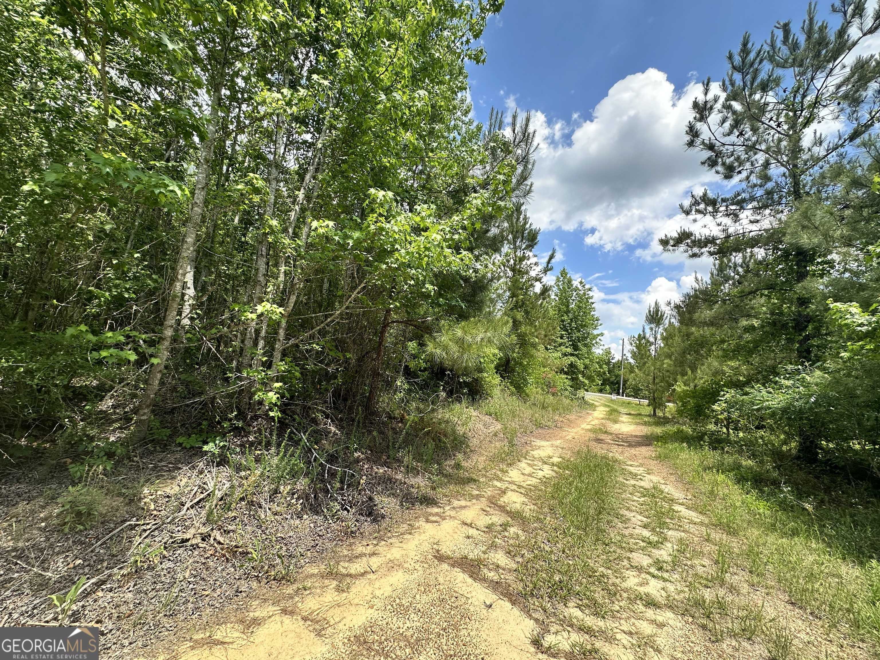 Dublin, GA 31021,LOT 25 Rock Springs Road