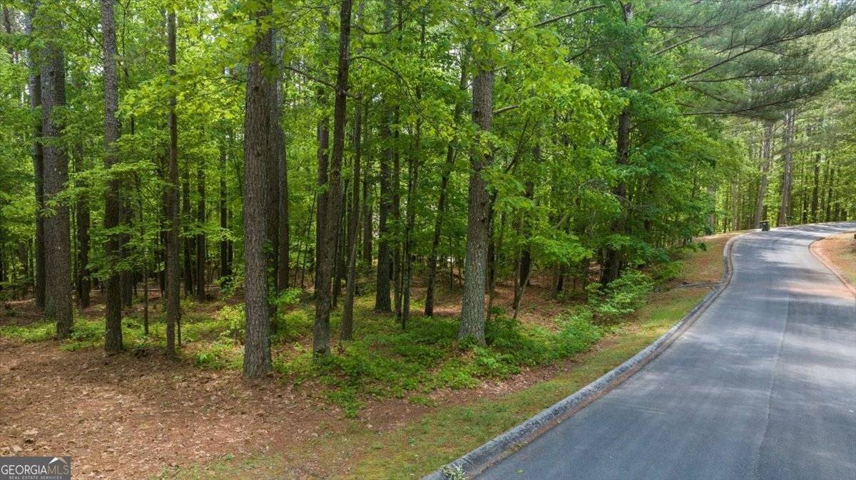 Clarkesville, GA 30523,0 Golden Delicious RD