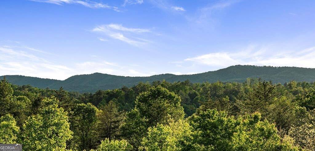 Ellijay, GA 30540,312 Charles RD