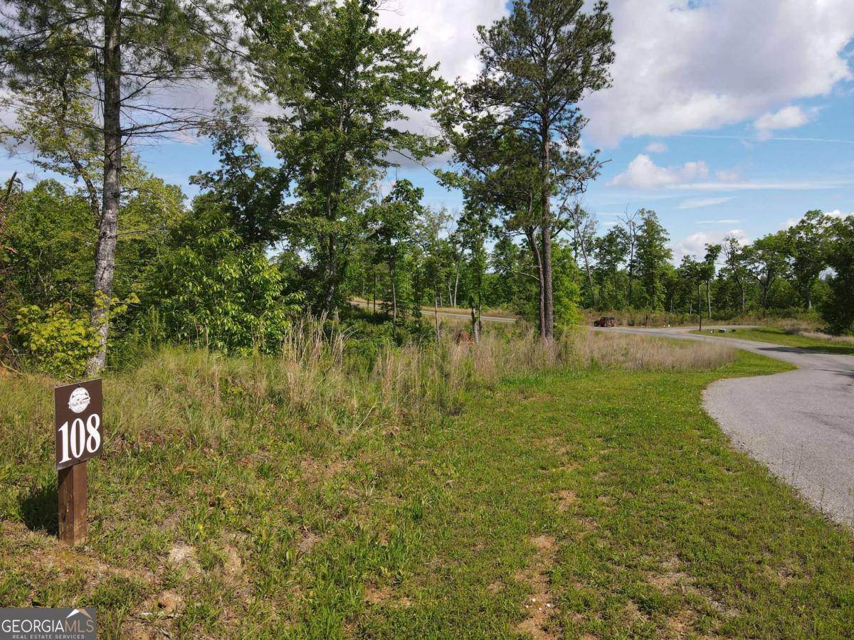Ellijay, GA 30540,LOT 108 High River