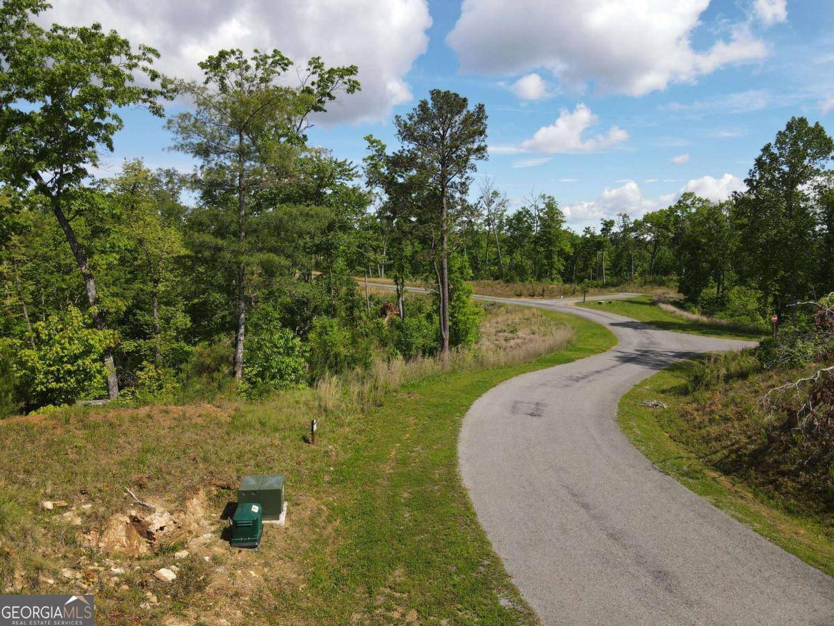 Ellijay, GA 30540,LOT 108 High River
