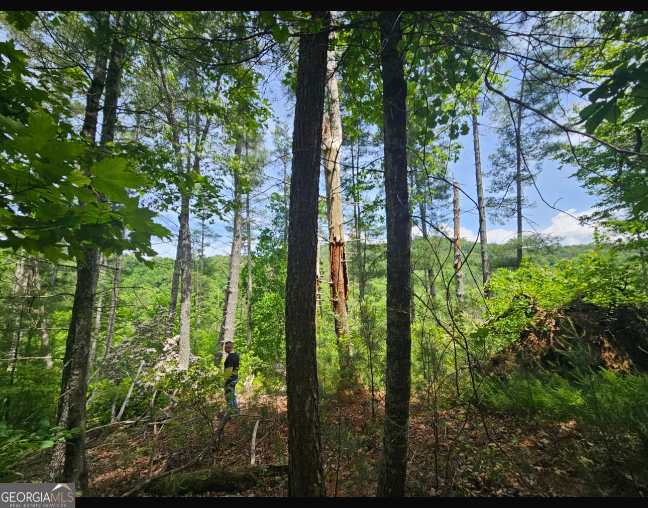 Ranger, GA 30734,0 Meadow Lane