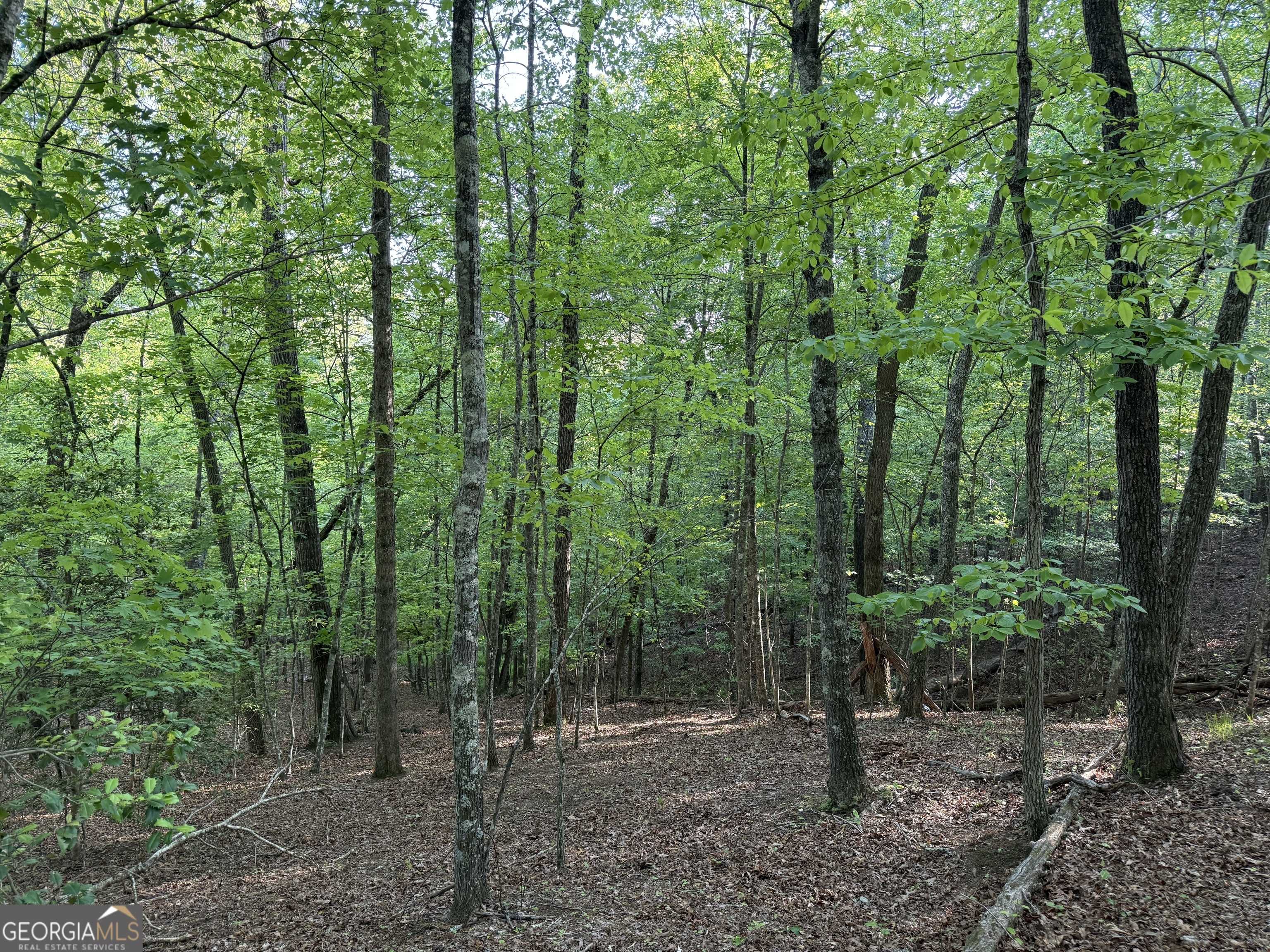 Mccaysville, GA 30555,502 River Hills RD