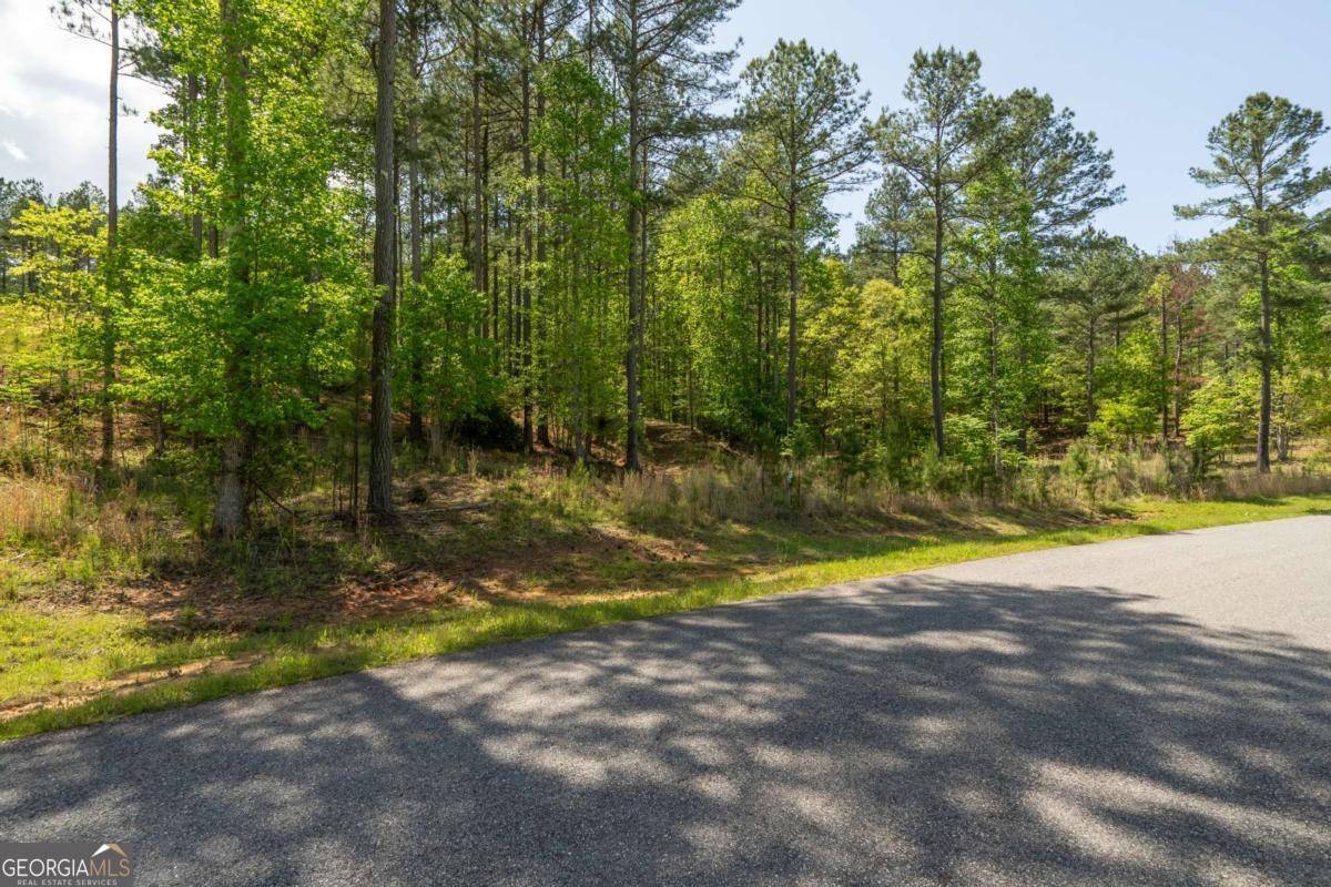 Blairsville, GA 30512,LOT 132 Sandy Lake LN