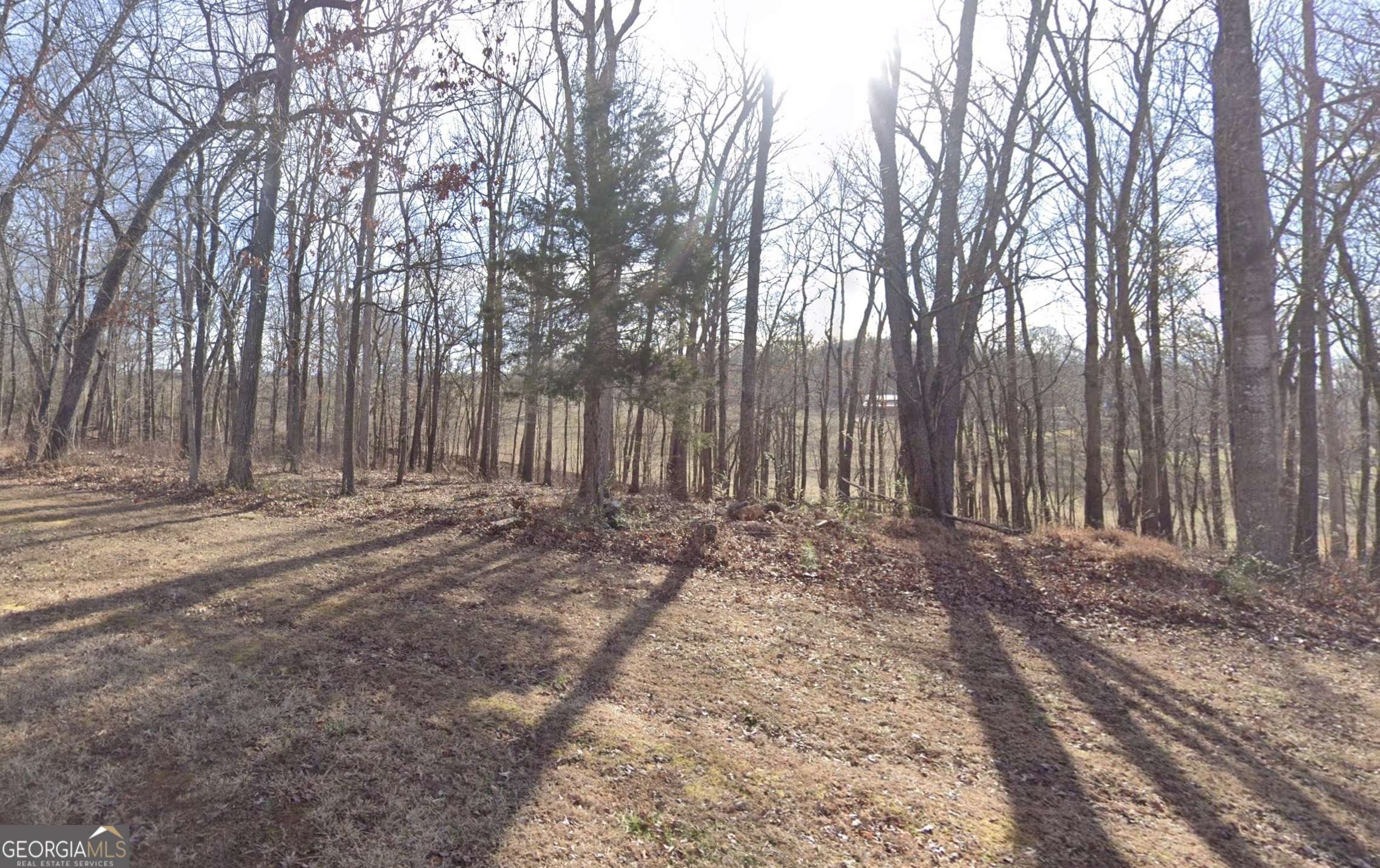 Clarkesville, GA 30523,525 Mountain VIS