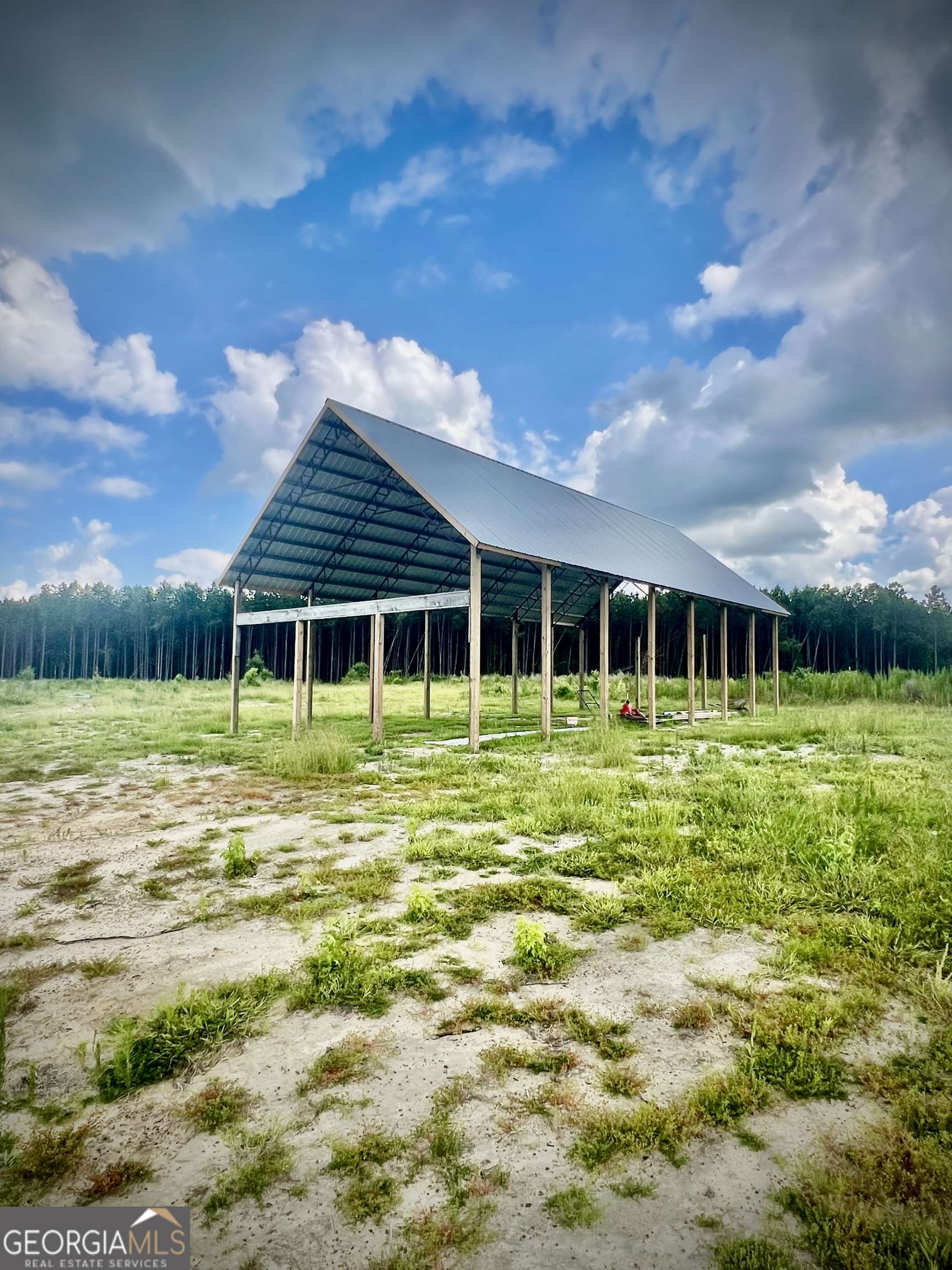 Cadwell, GA 31009,1305 Bennett Colter RD