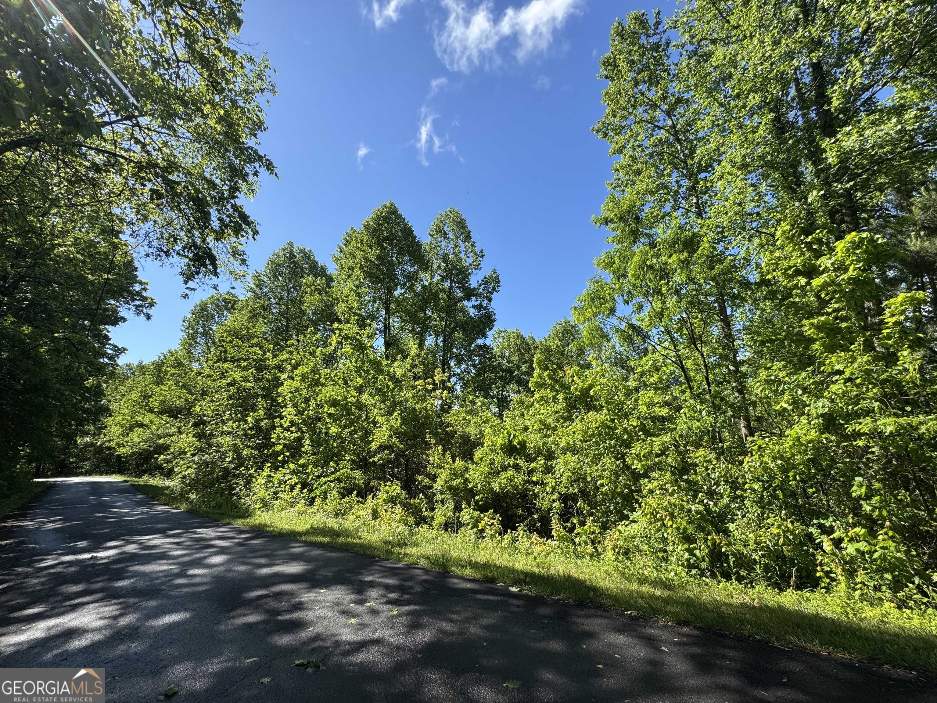 Young Harris, GA 30582,LOT 42 Meadow Brooke