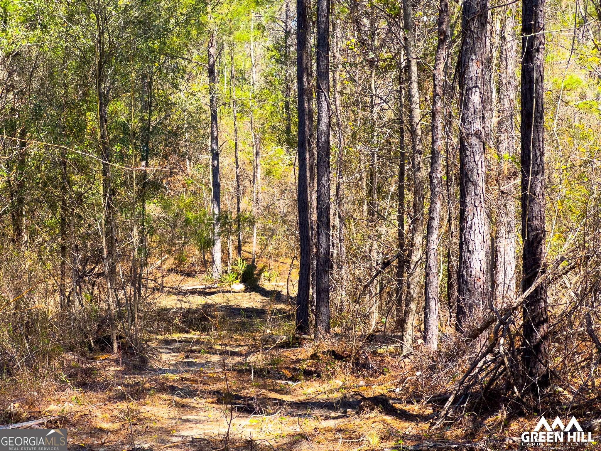 Rupert, GA 31081,1 Americus HWY
