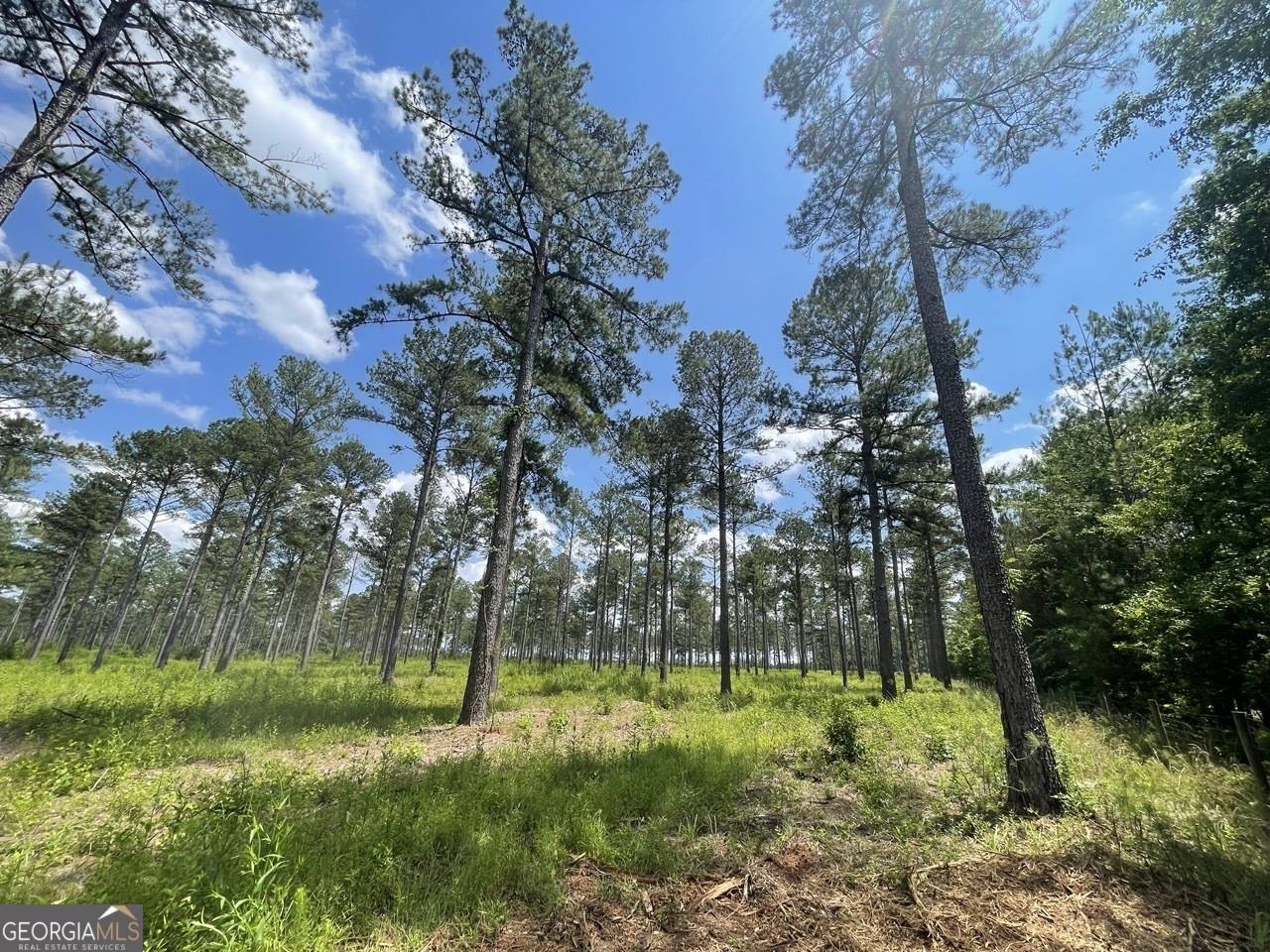 Perry, GA 31069,6 Duke