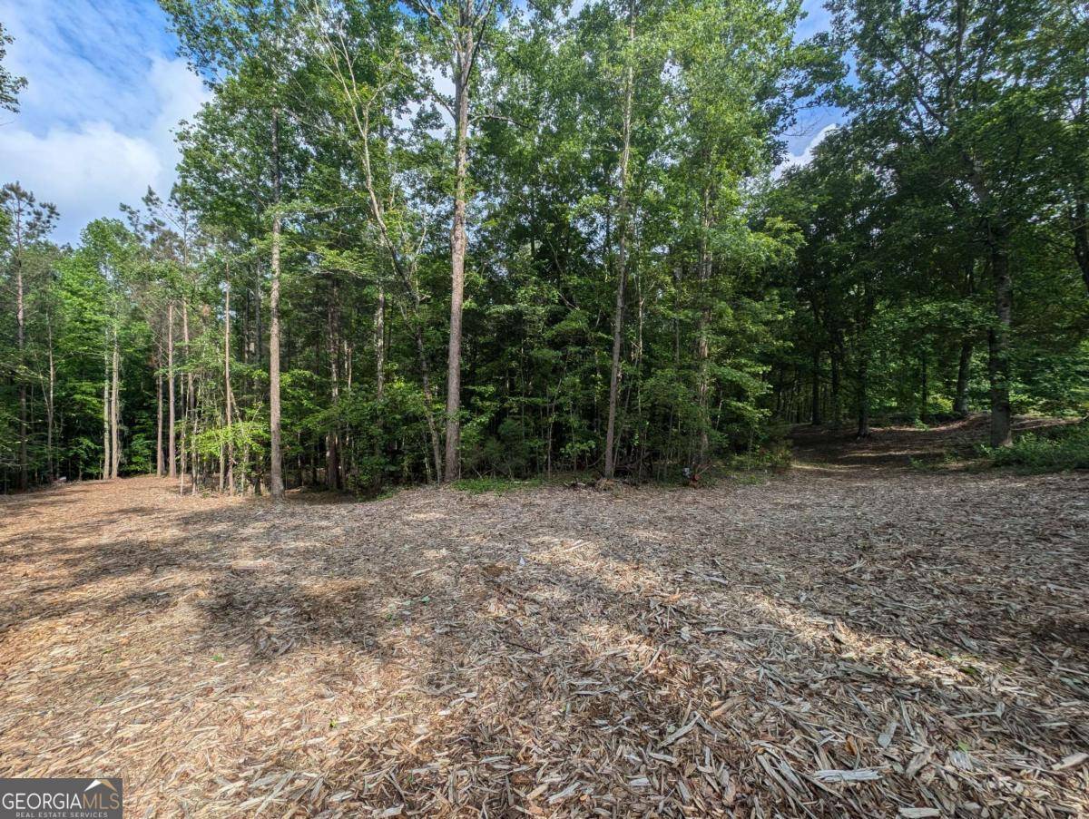 Canton, GA 30115,379 Marvin Land LN