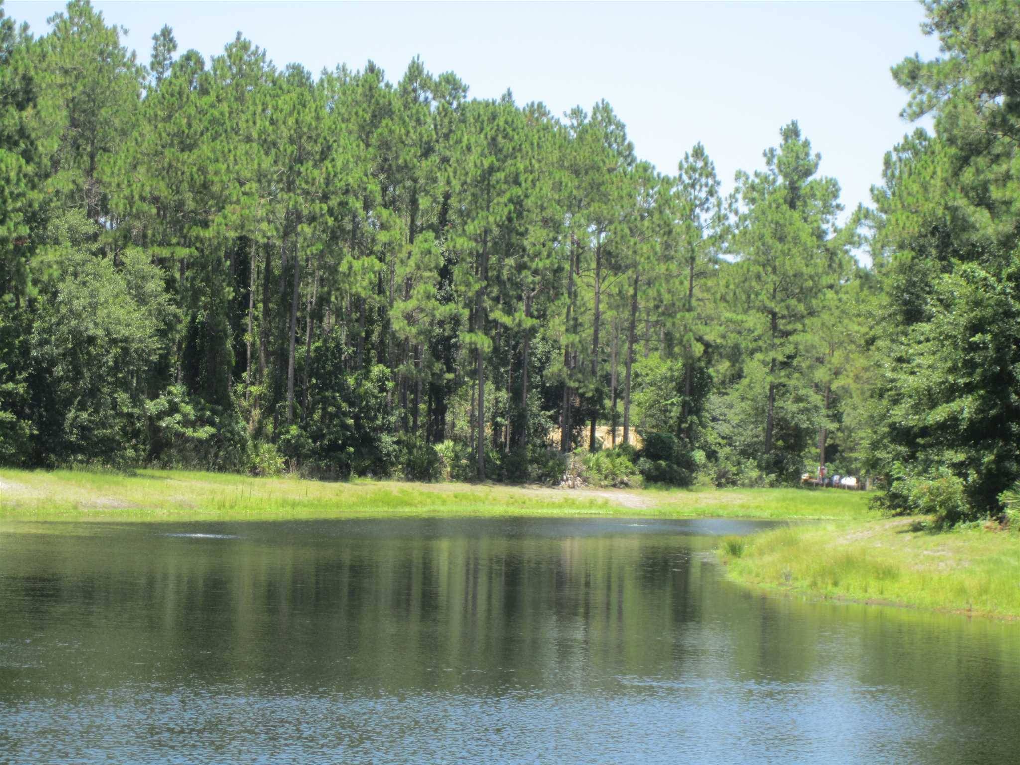 St. Marys, GA 31558,V/L 81, 306 Cumberland Harbour BLVD