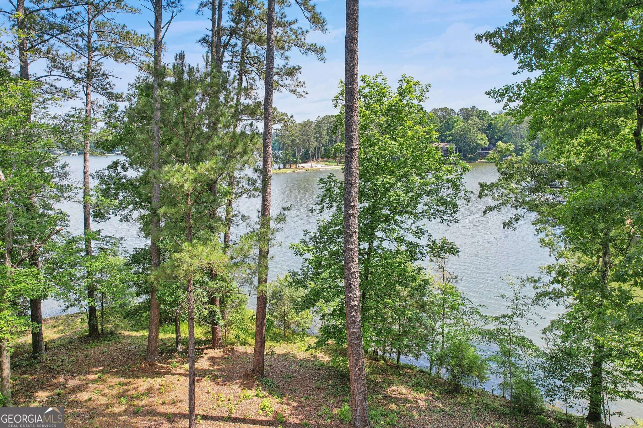 Monticello, GA 31064,54 Owl CT