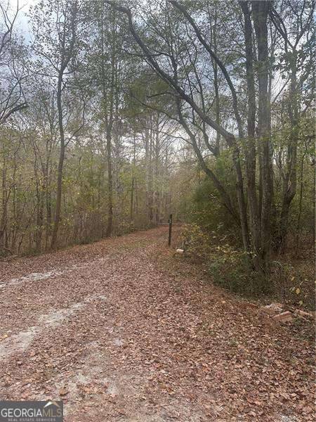 Palmetto, GA 30268,9905 BRAZELL RD