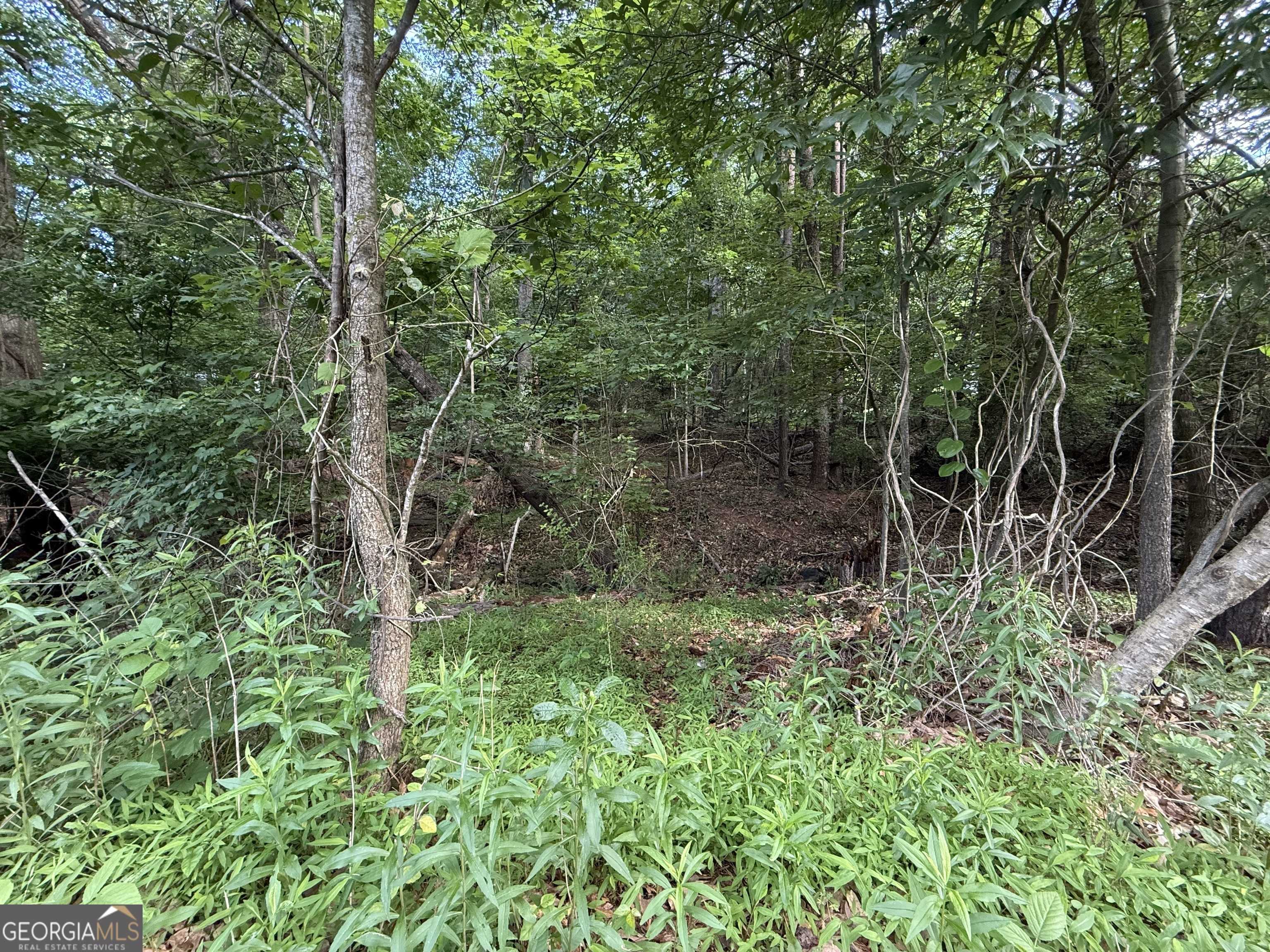 Gainesville, GA 30506,0 Bayhill