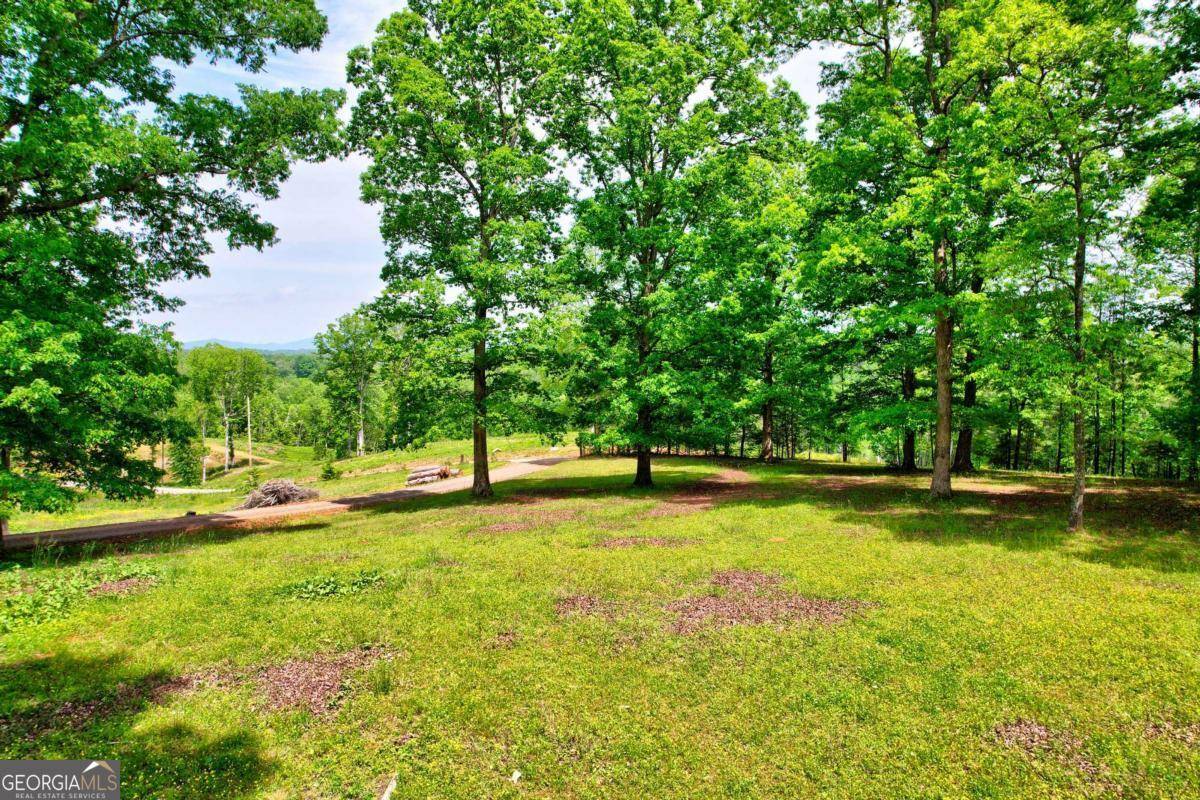 Blue Ridge, GA 30513,C4 Briar Woods LN #C4