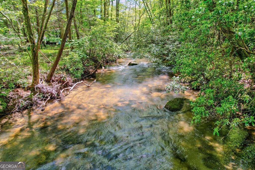 Blue Ridge, GA 30513,56 Laurel DR