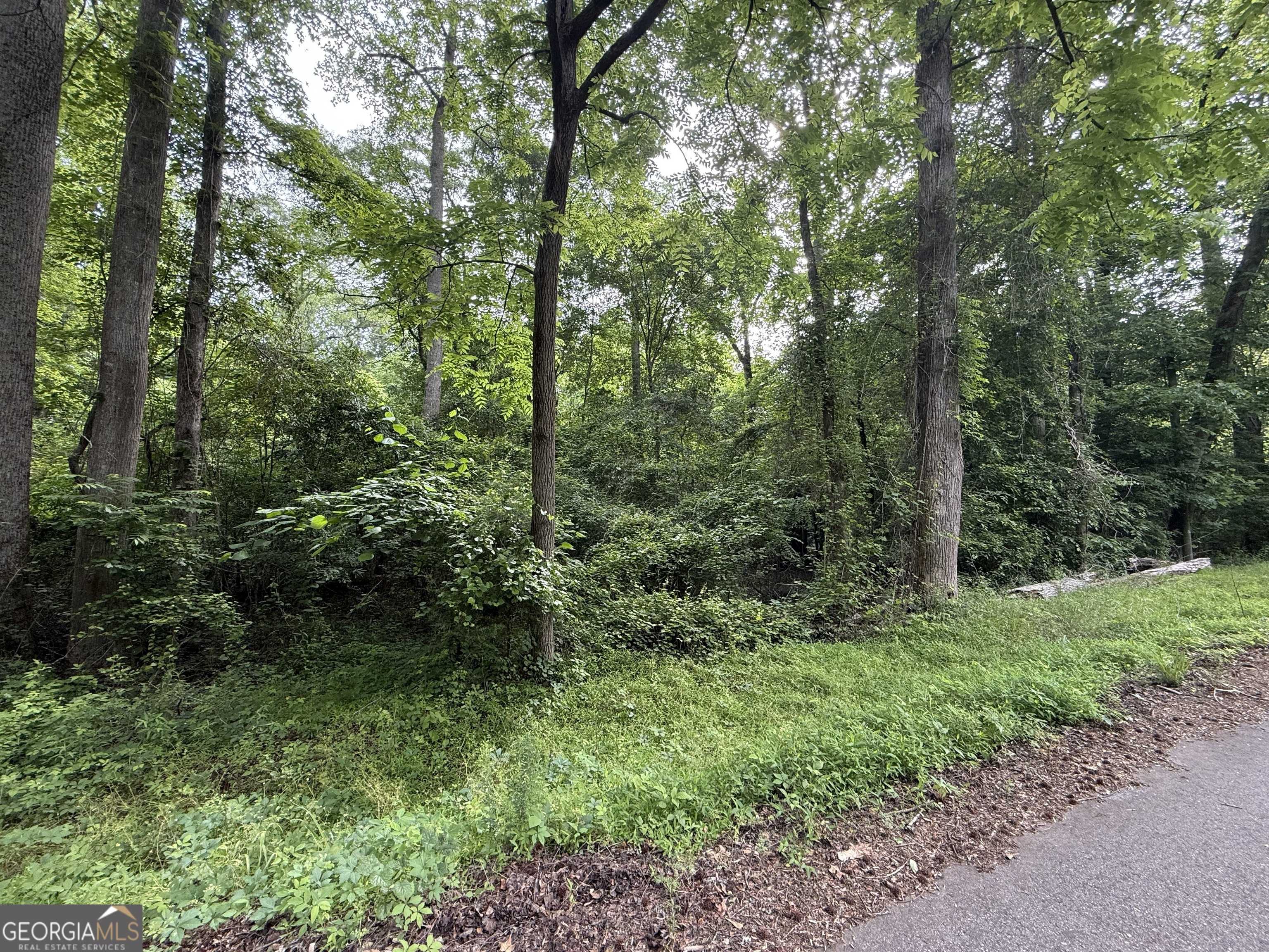 Forsyth, GA 31029,0 Zellner RD #LOT 18