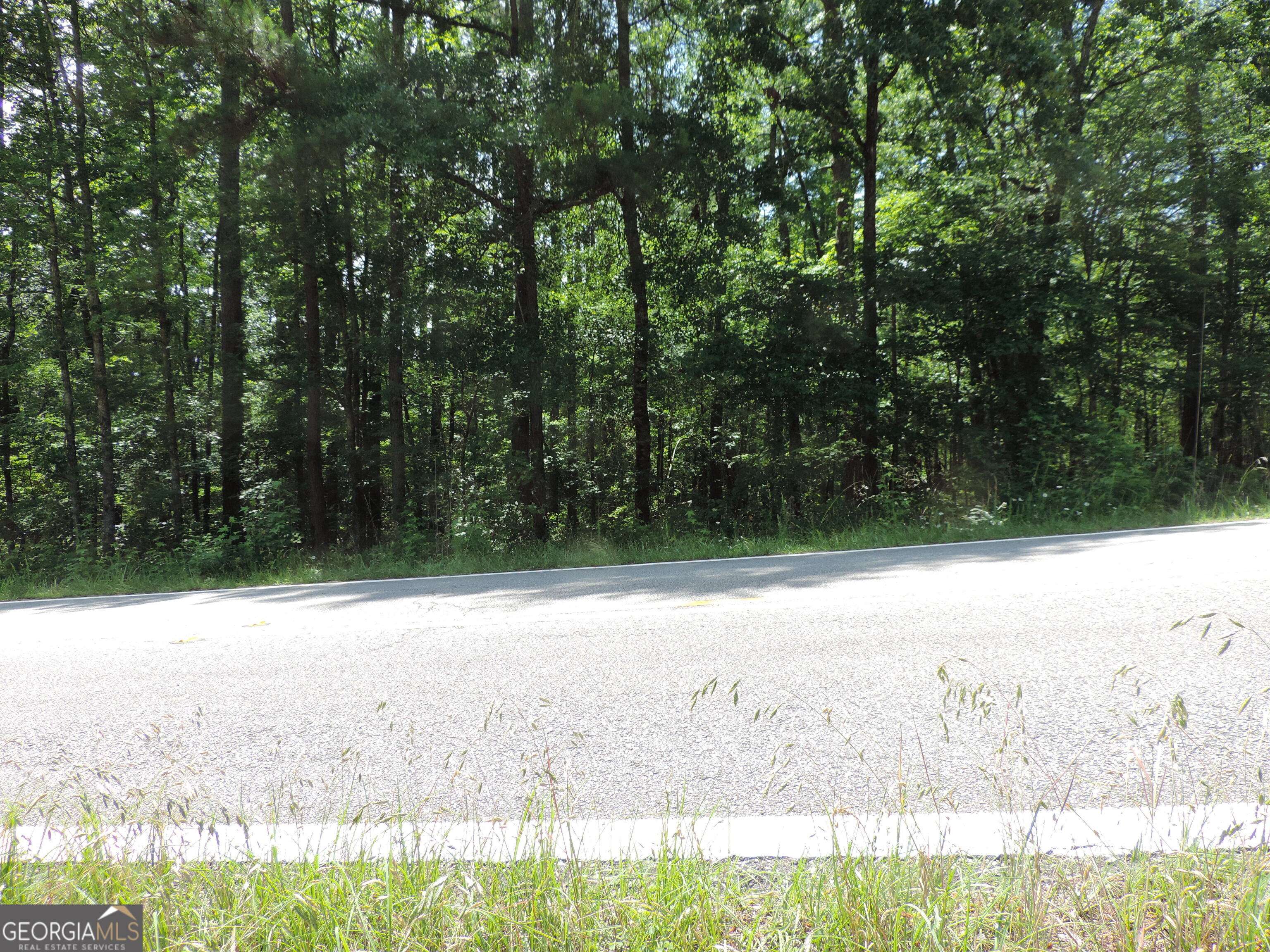 Sparta, GA 31087,0 Island Creek DR W