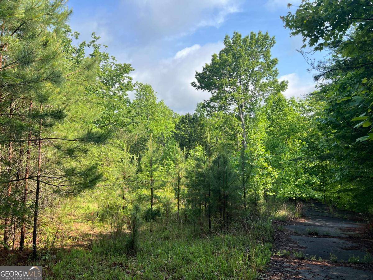 Waleska, GA 30183,395 Able RD
