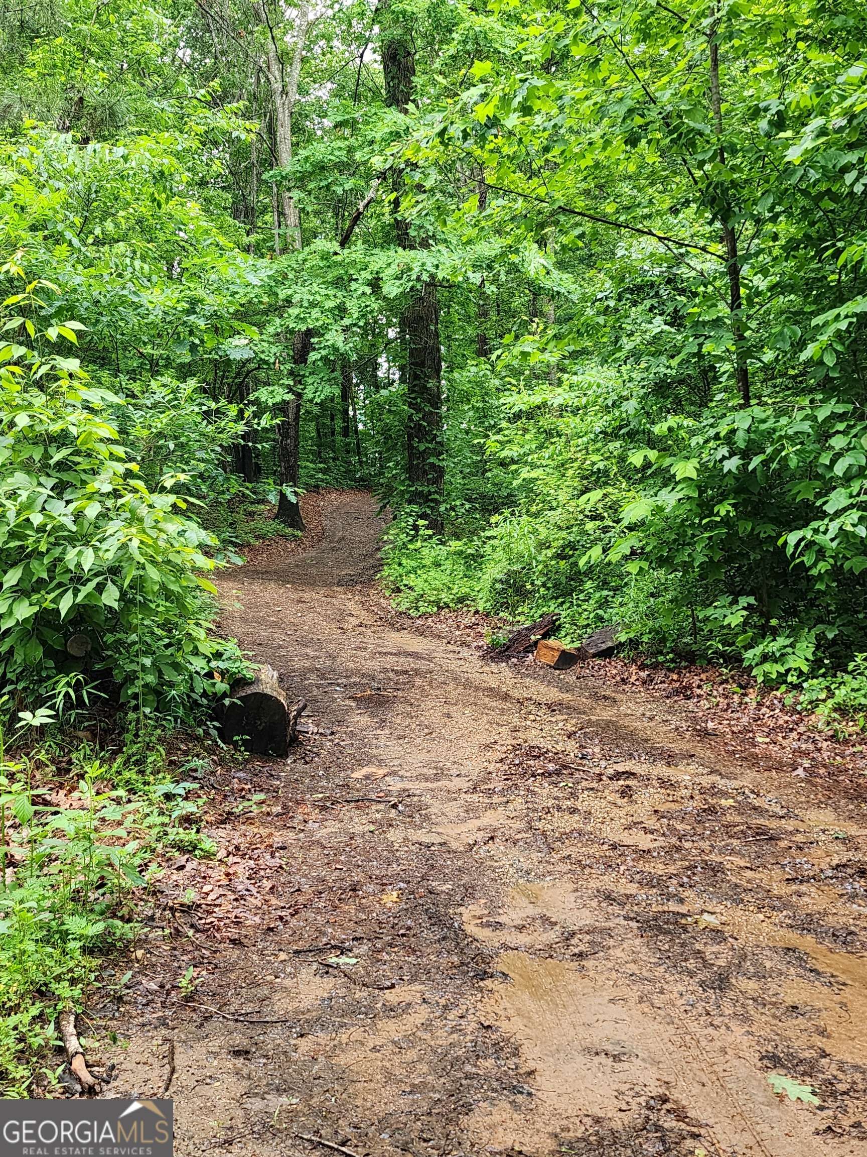 Carnesville, GA 30521,2760 Kesler RD