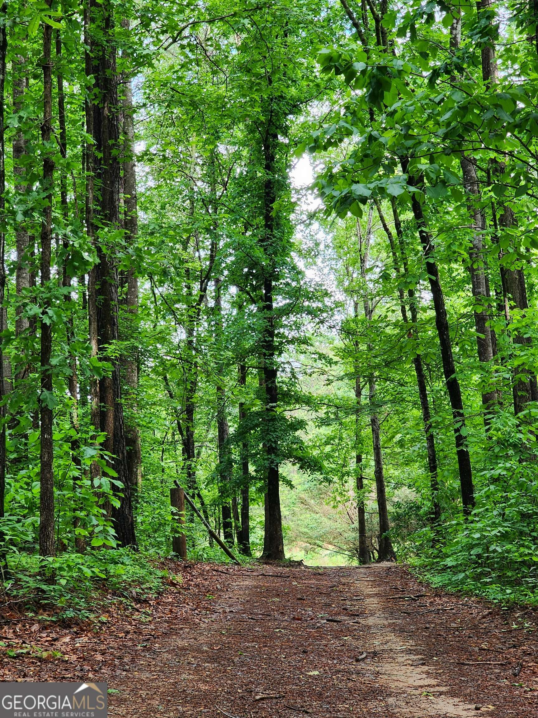 Carnesville, GA 30521,2760 Kesler RD