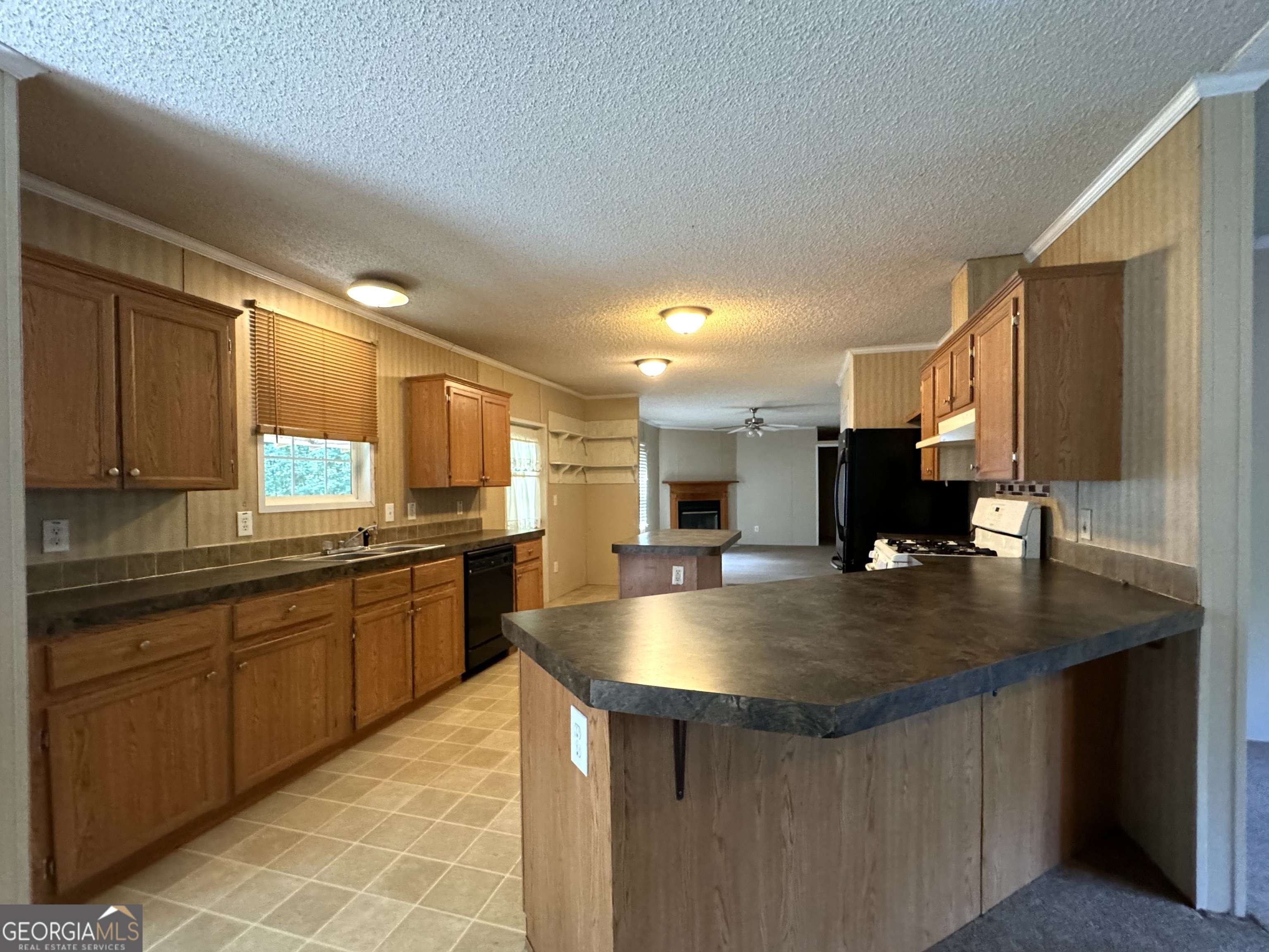 Sautee Nacoochee, GA 30571,1929 Asbestos RD